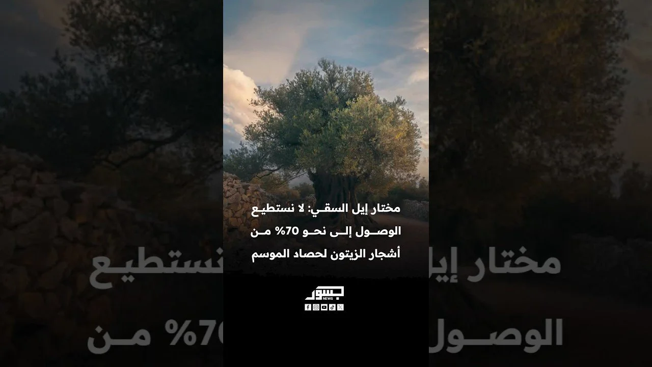 سليمان غبار مختار بلدة إيل السقي: لا نستطيع الوصول إلى نحو 70% من أشجار الزيتون لحصاد الموسم
