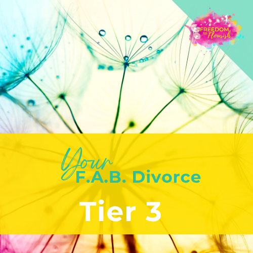 FAB Course - Tier 3