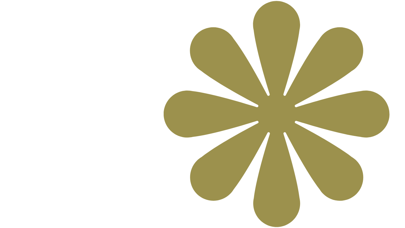 Flor vmo creative studio