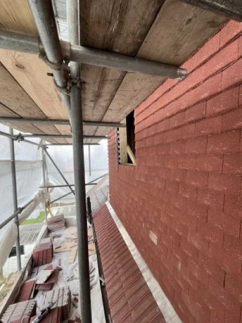 6921404A-9041-4411-84F0-8D024999596F Medium.jpeg