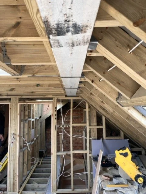 A5567C35-F0AD-4E00-85A4-BAC9FE34B33D Medium.jpeg