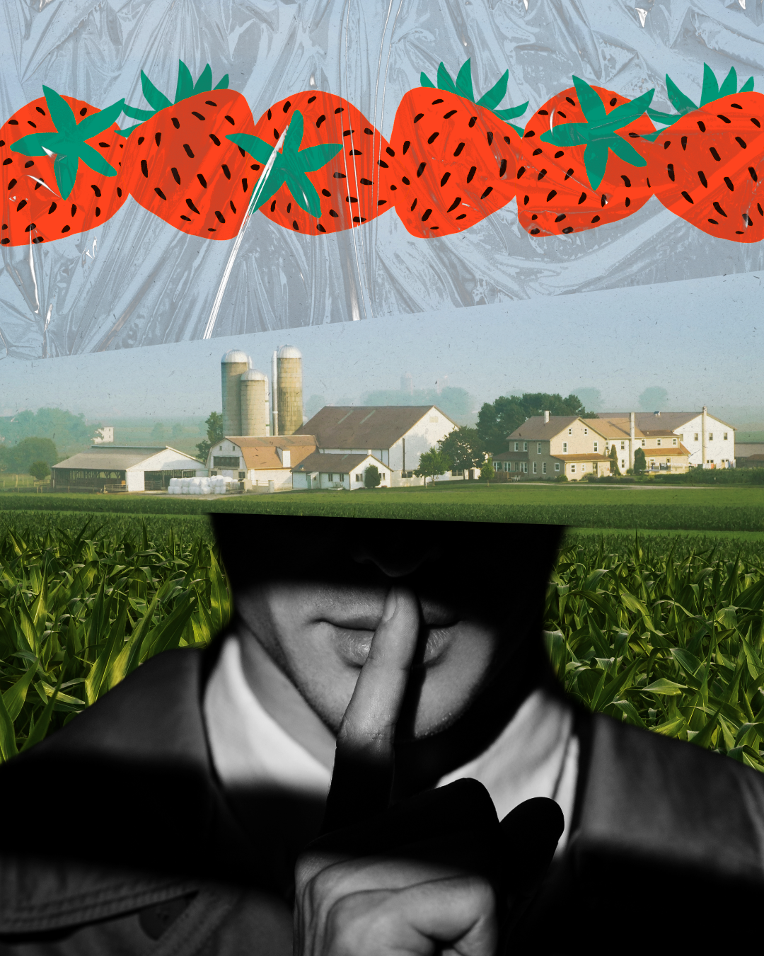 ripe for the picking, or left to rot