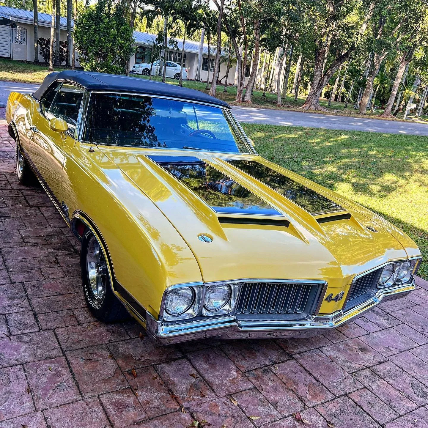 This Classic gorgeous yellow Oldsmobile 442 came for a digitalized paint inspection! The condition of the paint allowed us to apply a one step polish and paint sealing all over the paint. Also, the crome trims and mirrors were polished and received a