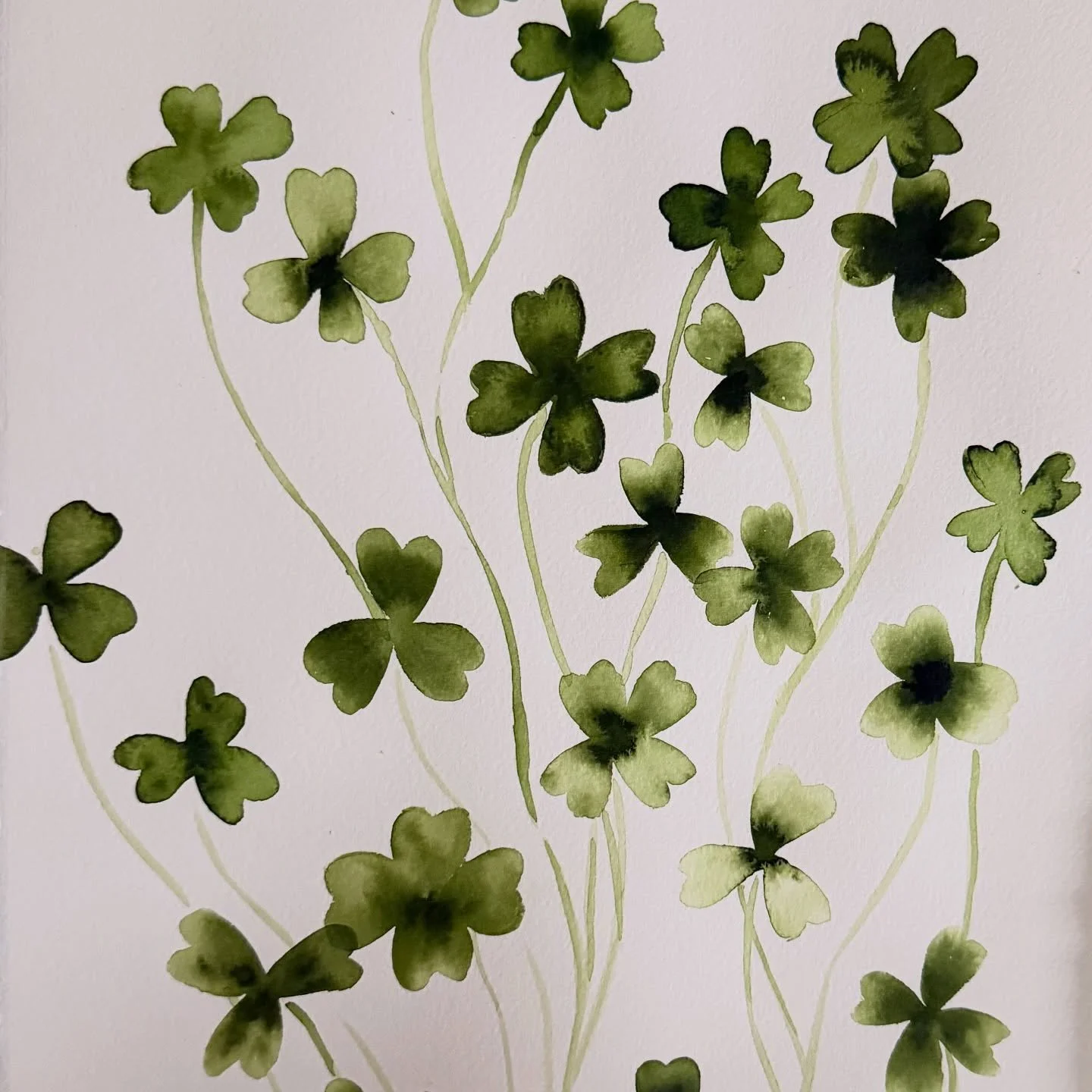 Covered in clovers, a few variations coming within this green theme. ☘️🍀☘️🍀