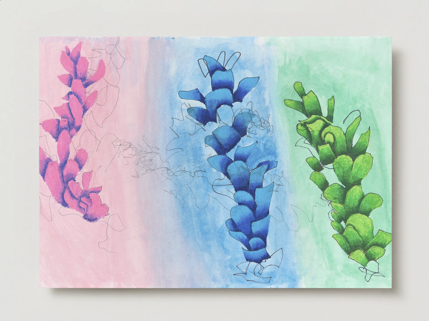 “Pinecones” — Art Print by Owen Willers