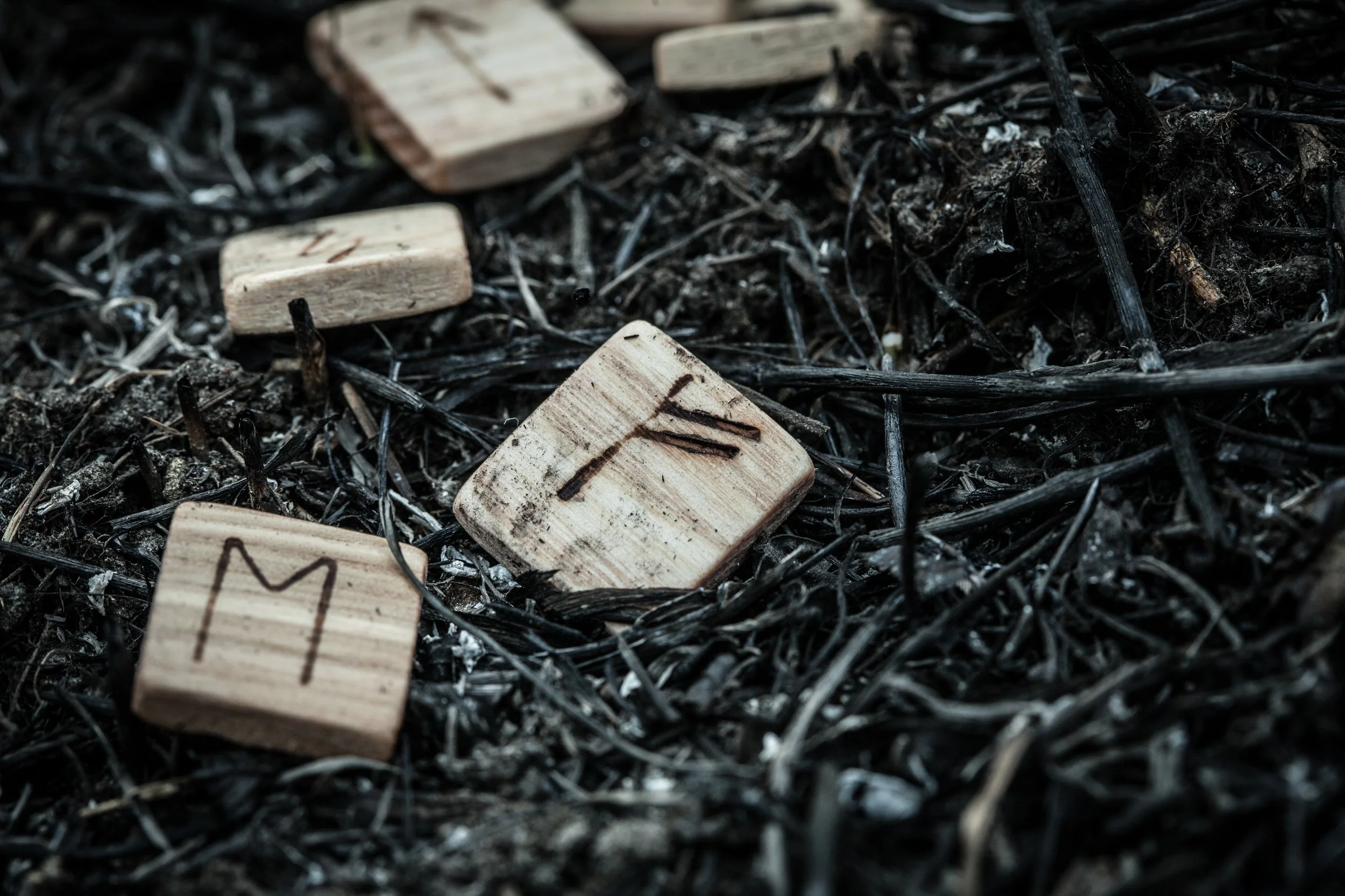 Belief as Power Source: What You Empower, Grows.