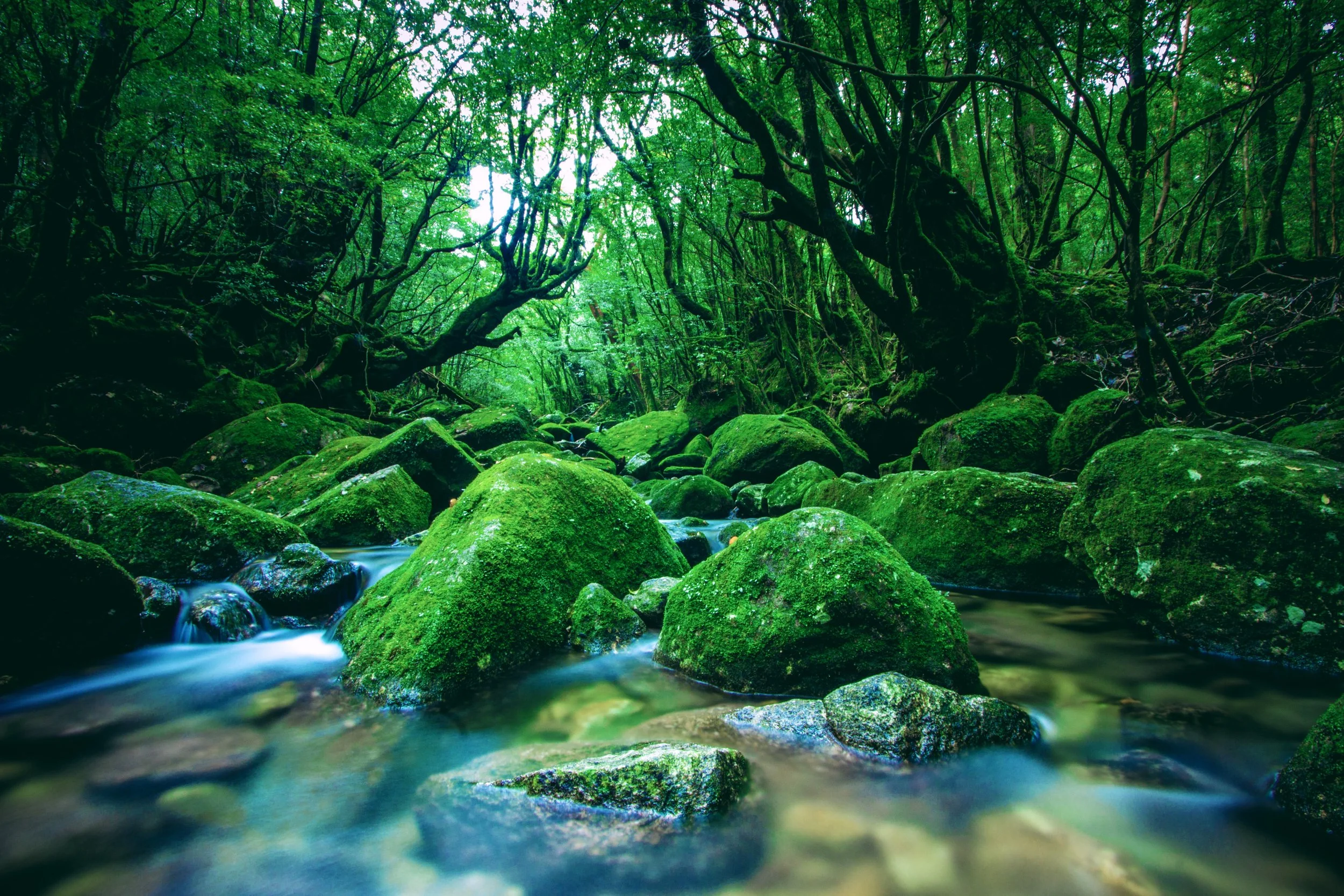 How Environment Impacts Recovery: The Role of Community, Culture, and Accountability