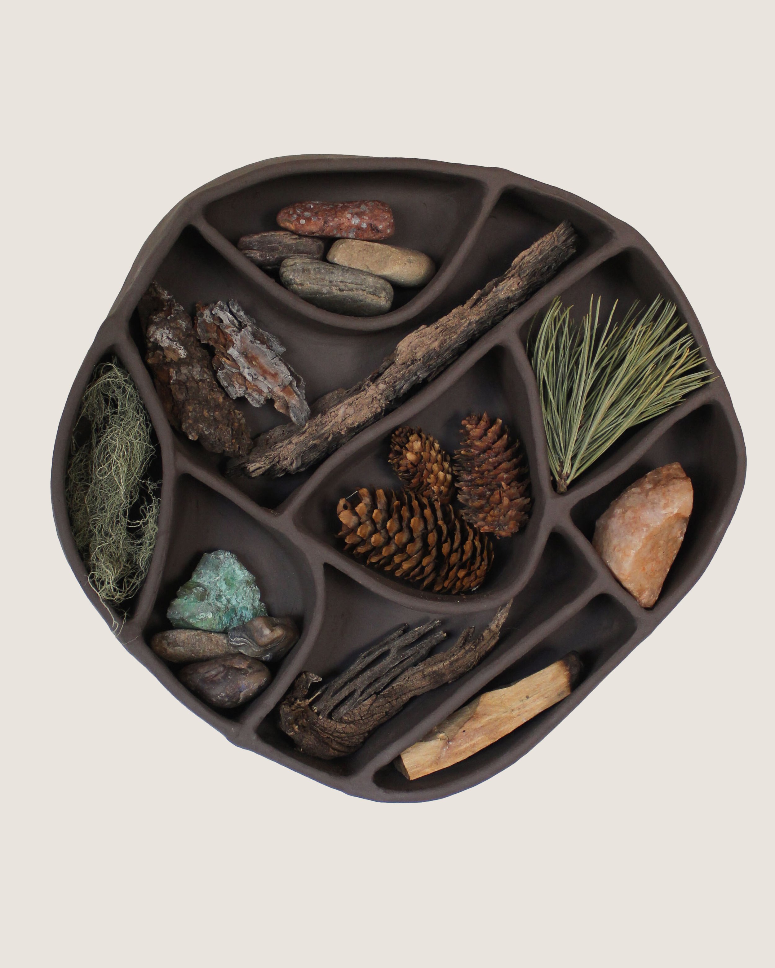 A round black compartmental organizer filled with natural items including rocks, pinecones, moss, sticks, and dried plants.