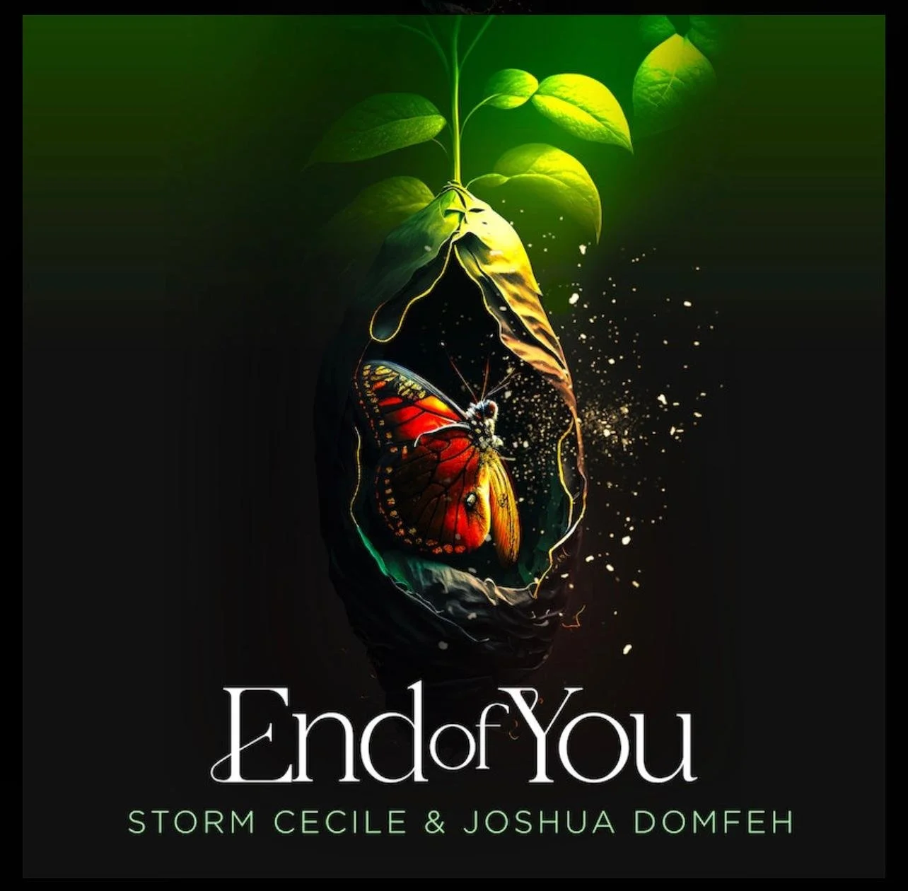 WhatsApp Image 2025-04-12 at 22.28.49.jpeg