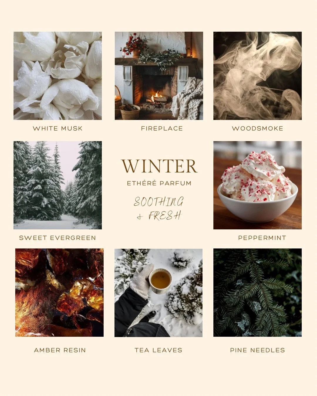 Winter Canva Ad.JPG
