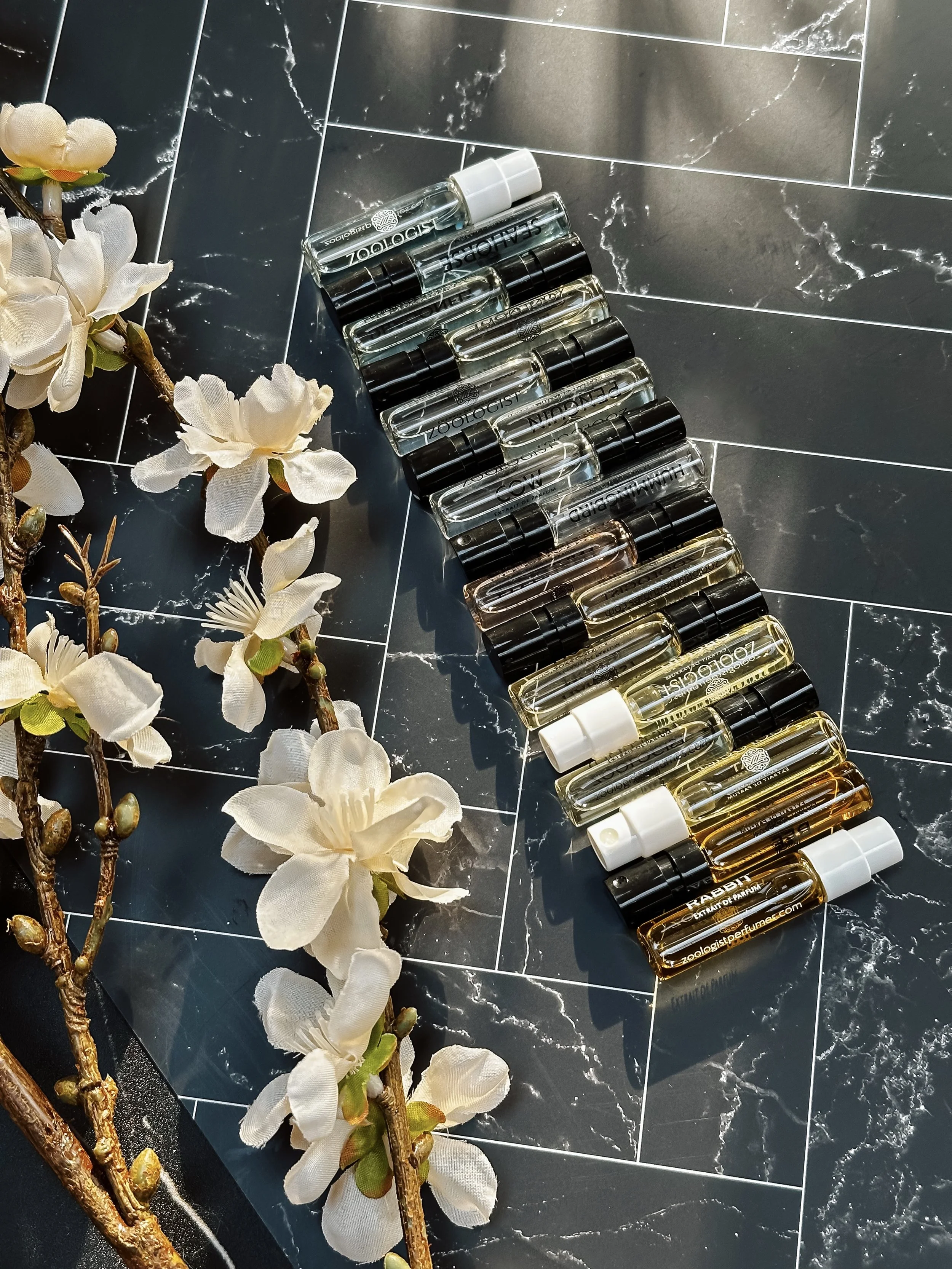 Noseworthy Discoveries Zoologist