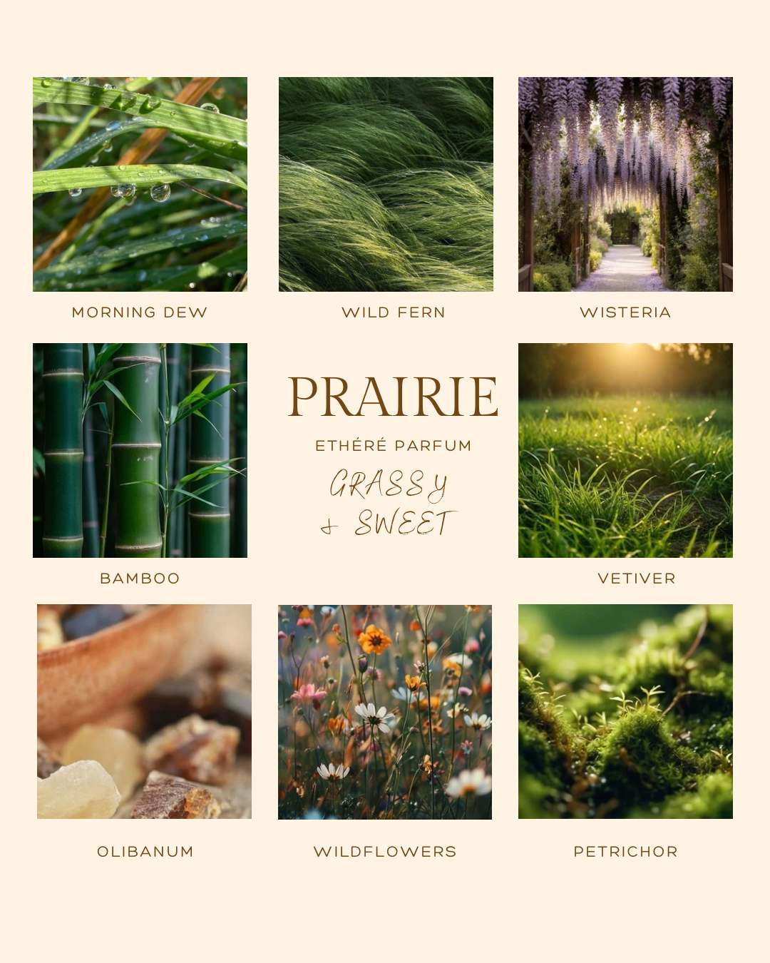 Copy of Prairie Canva Ad.png