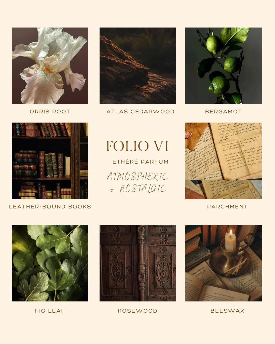 Folio VI canva.JPG
