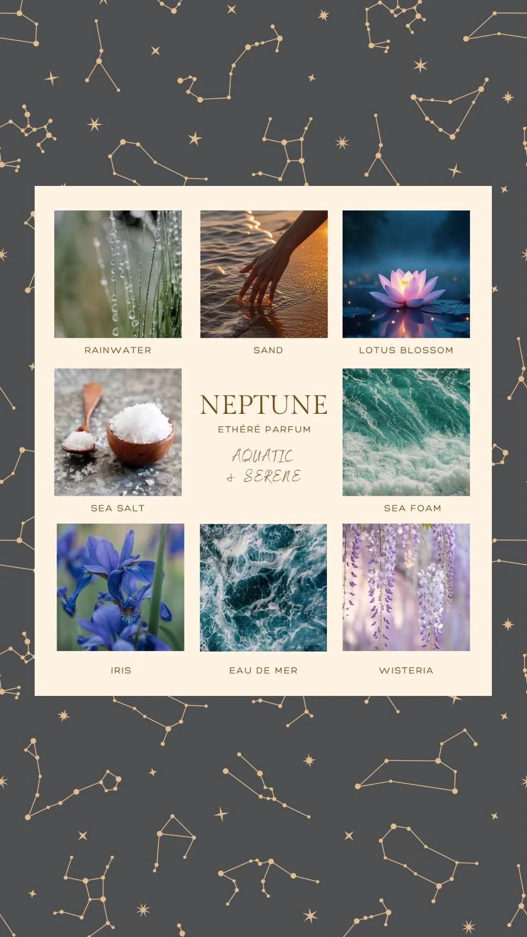 Copy of Neptune Canva Ad.jpg