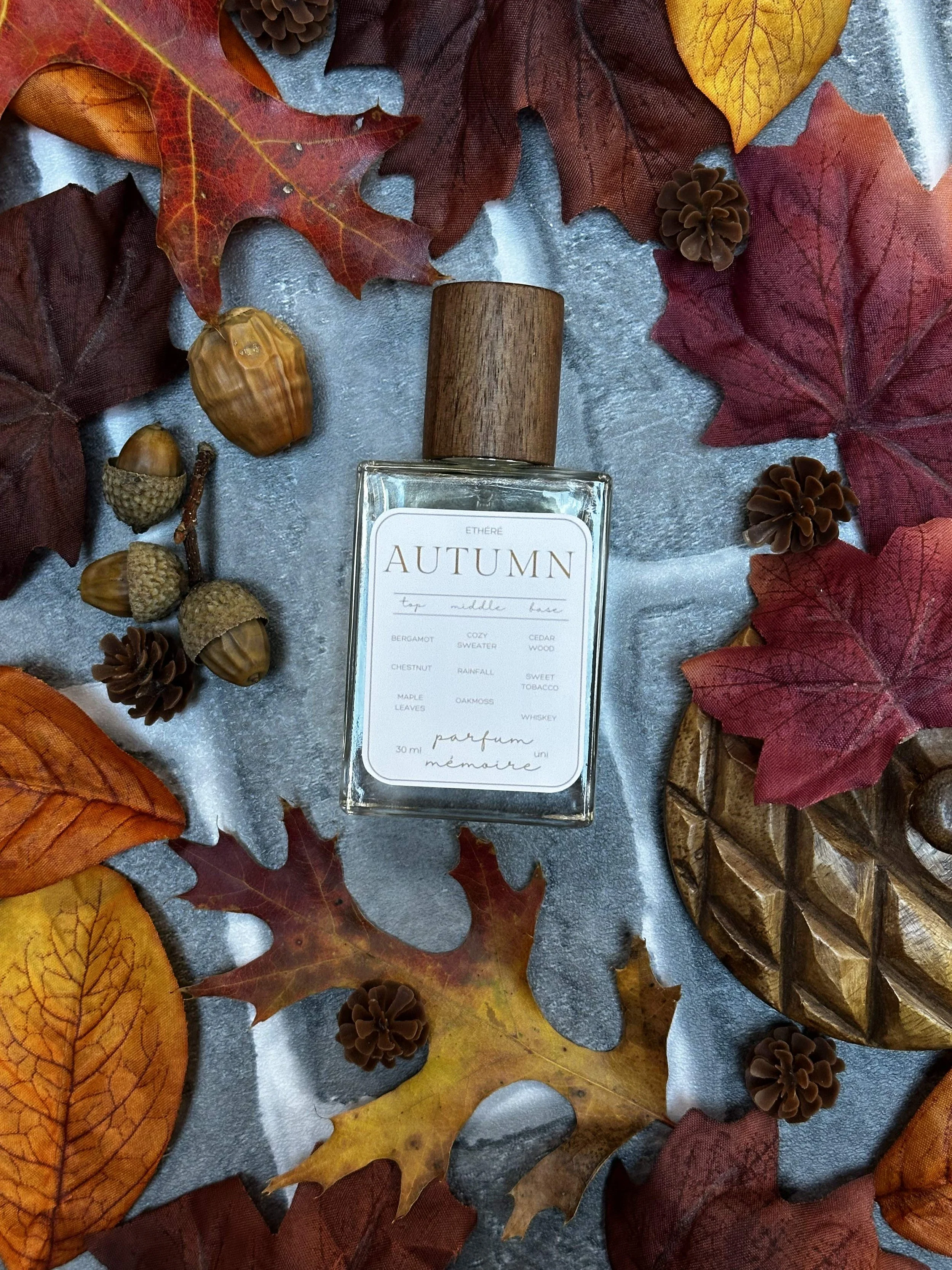 Autumn Memories 🍁 Crisp & Nostalgic