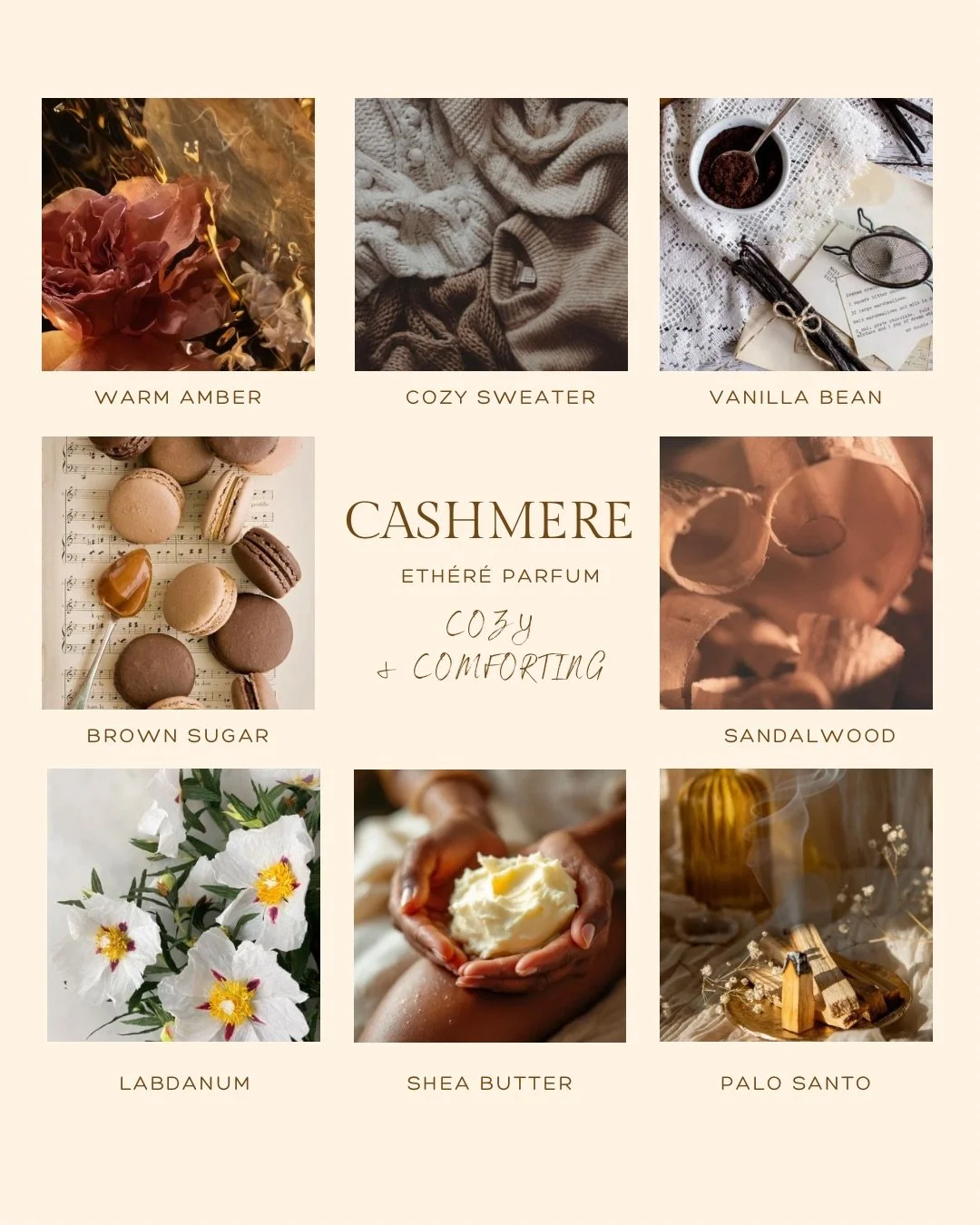 Copy of Cashmere Canva Ad.JPG