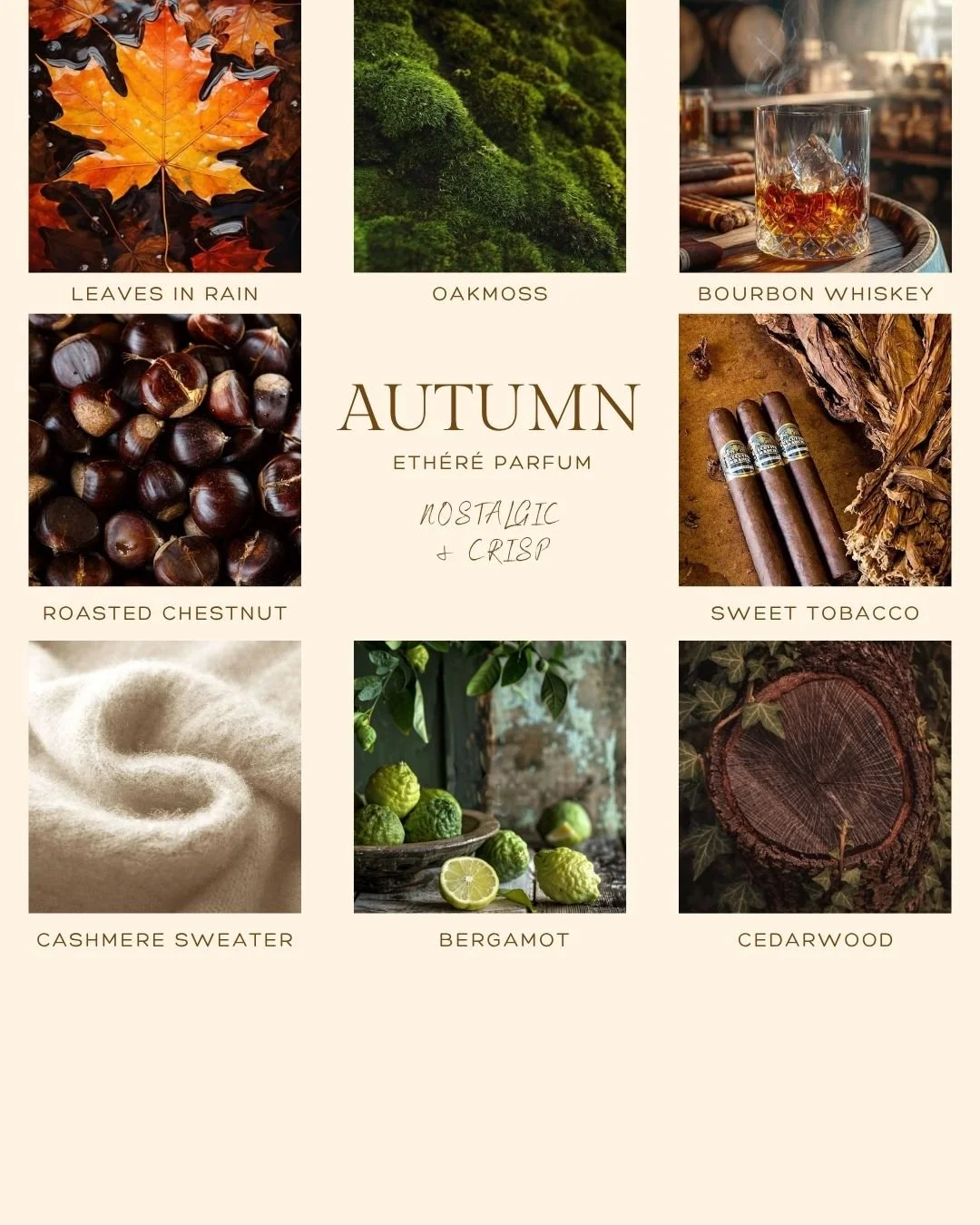 Copy of Autumn Ad.jpg