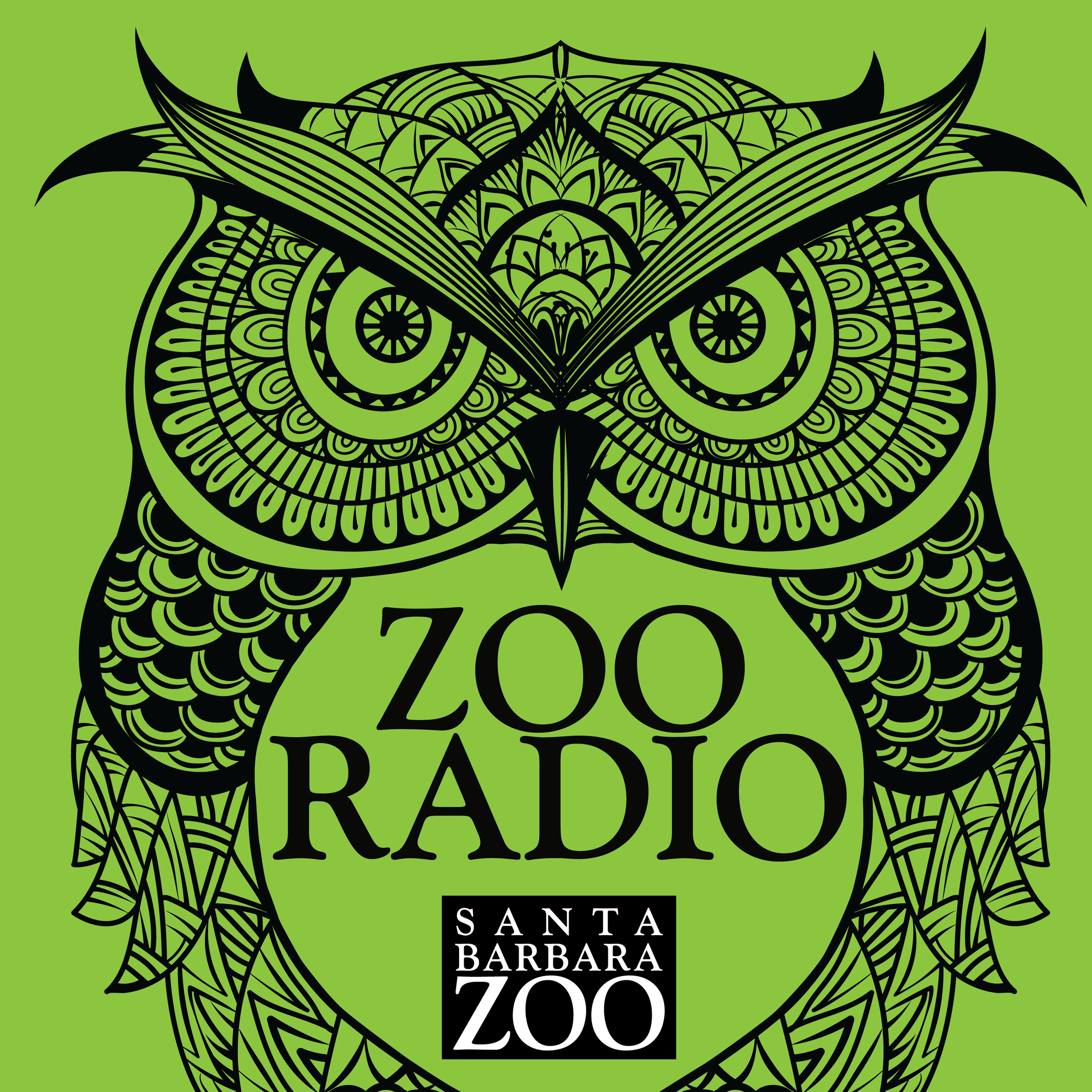 Komodo Dragon Care: Zoo Radio
