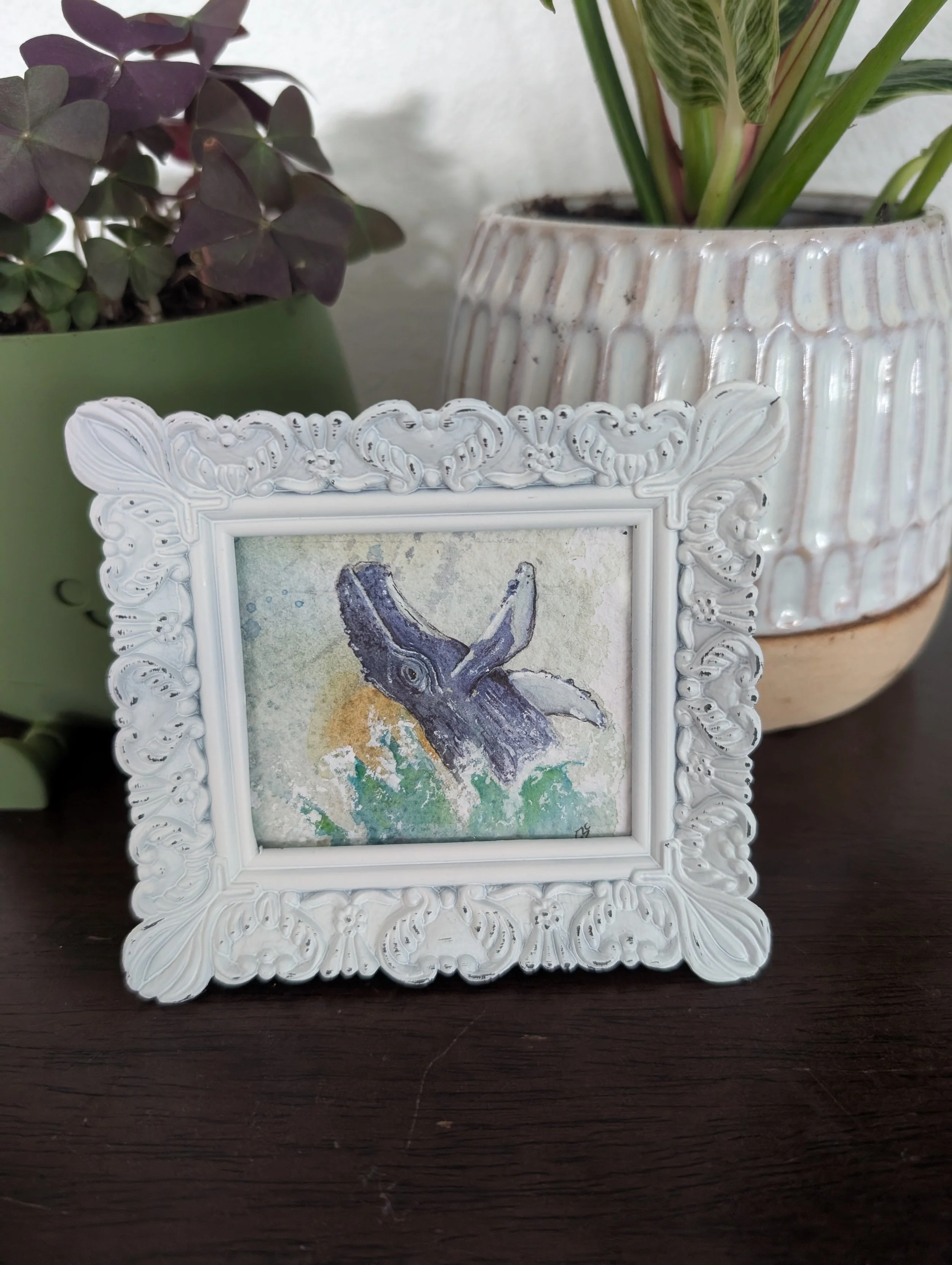 Humpback Whale Miniature Painting