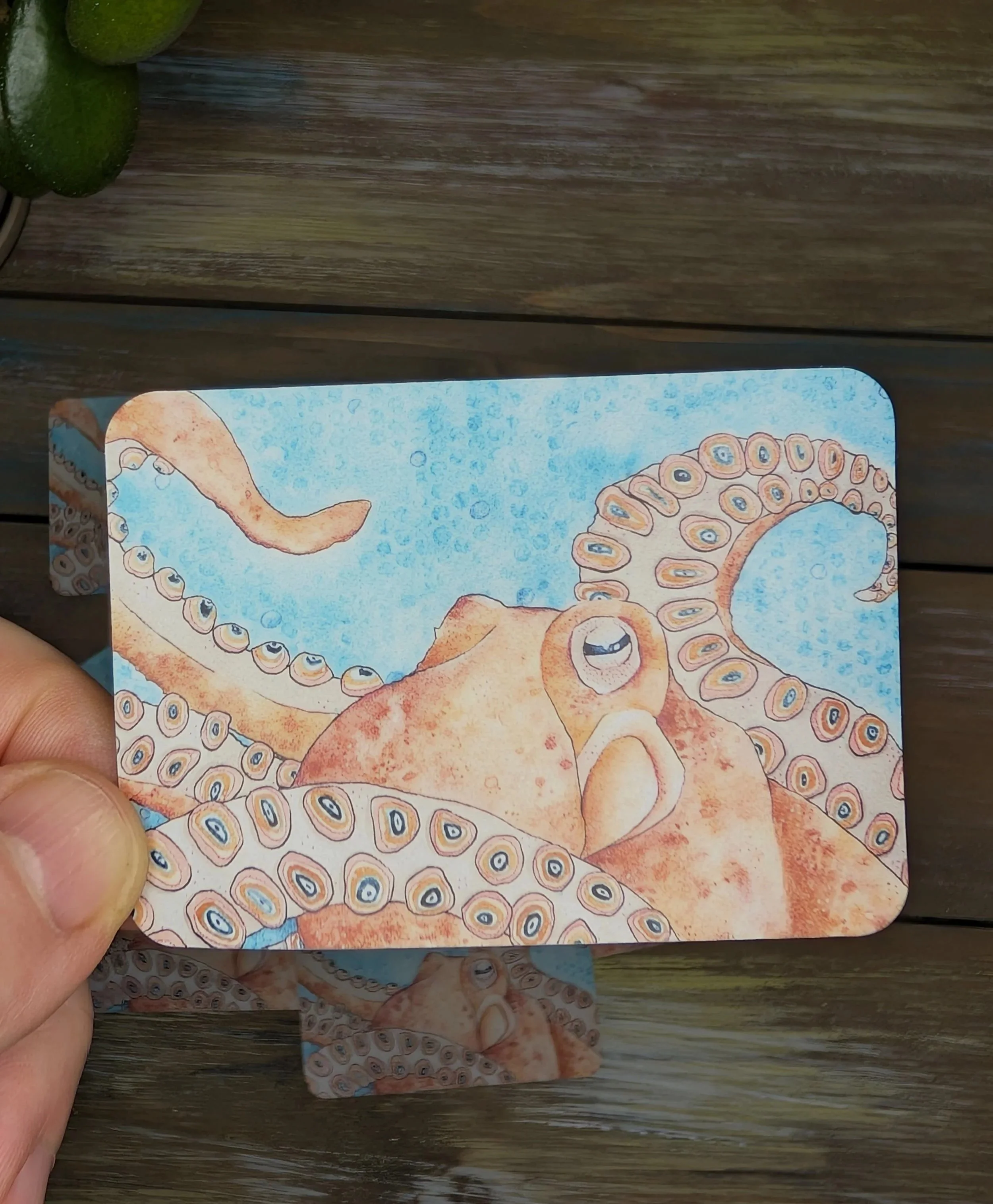 Octopus Vinyl Sticker - 3 Inch