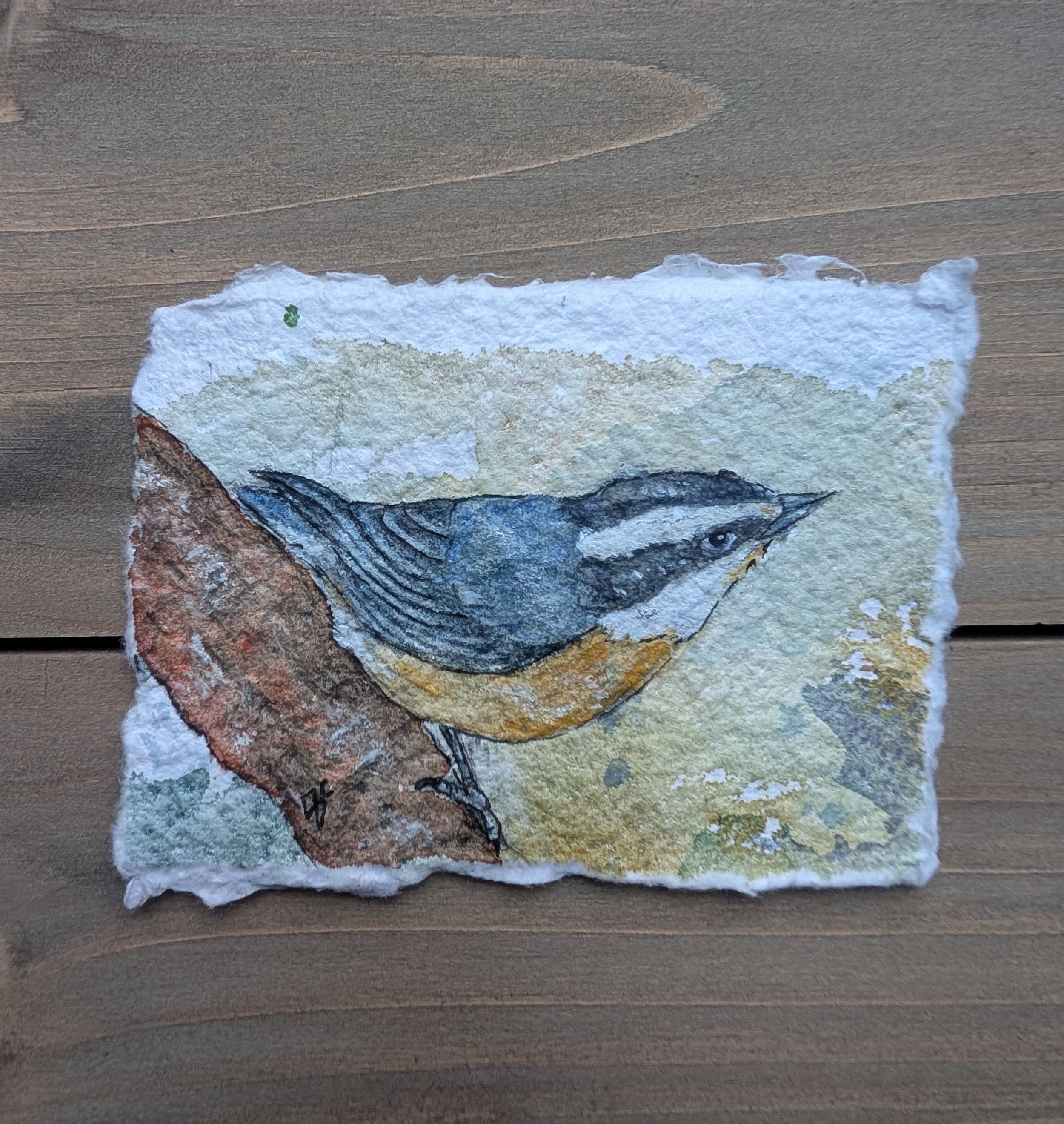 Red-breasted Nuthatch miniature painting