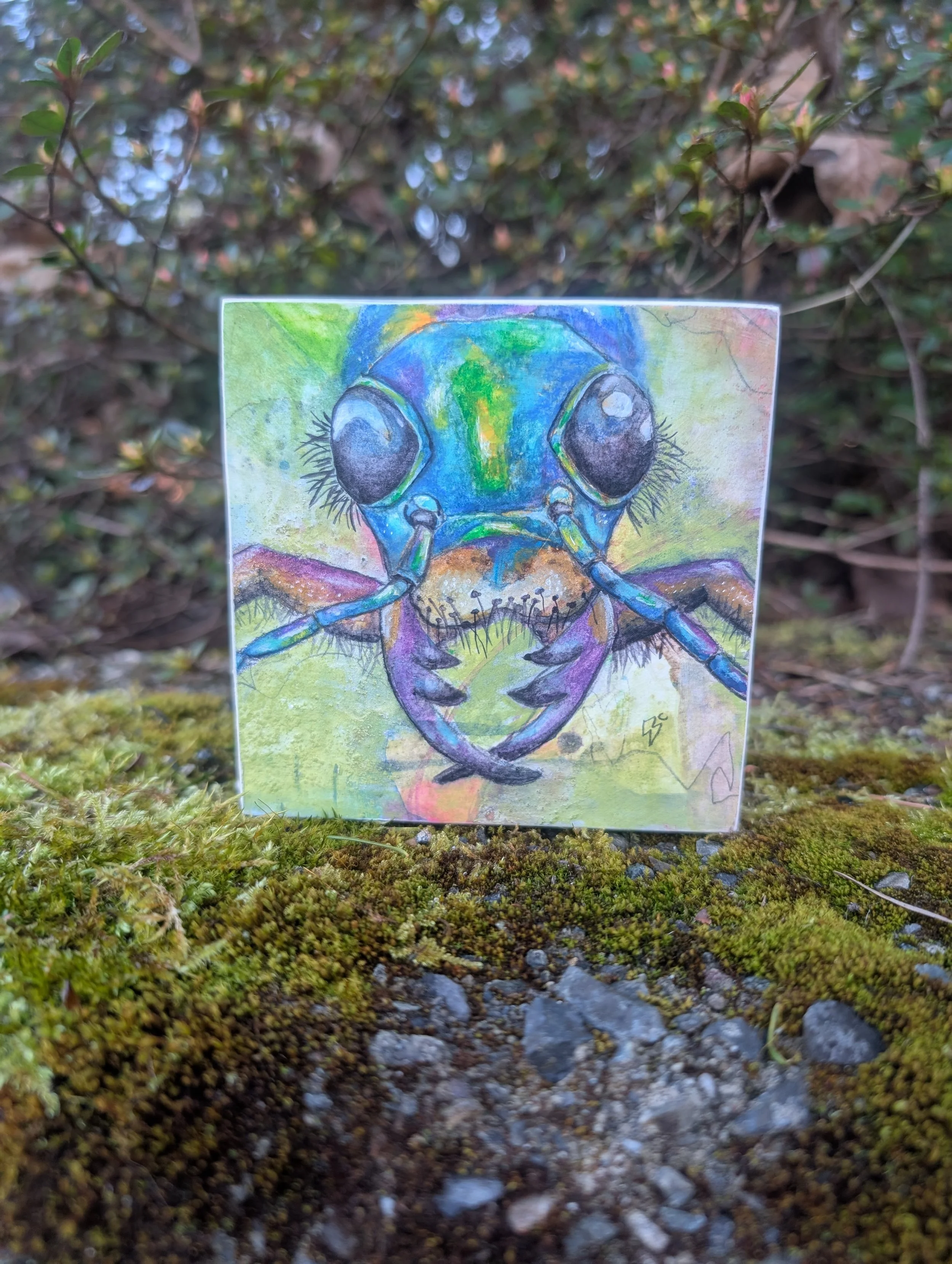 Tiger Beetle Original Painting