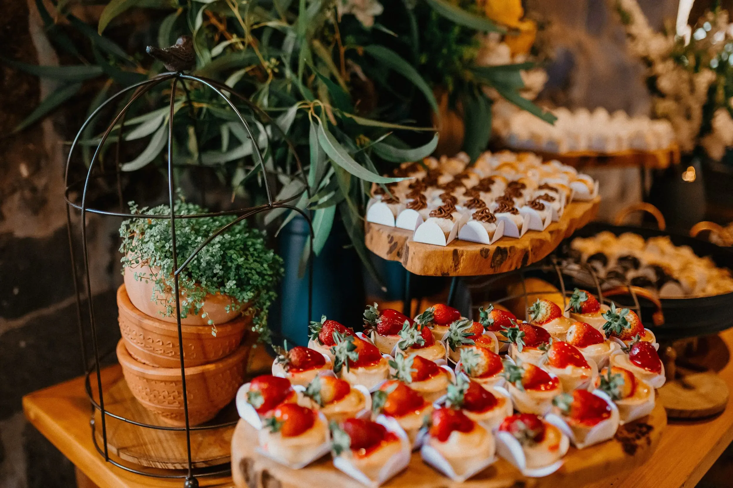 Assorted desserts including strawberry-topped mini cheesecakes, white marshmallow treats with chocolate drizzle, and other small pastries on wooden and black trays, with potted plants and greenery in the background.