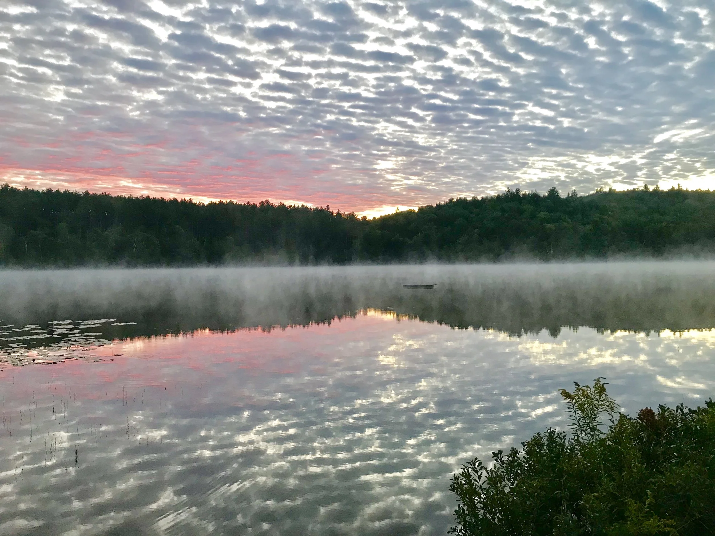 Building Tents and Resets