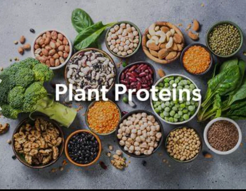 How Much Protein Do You Need