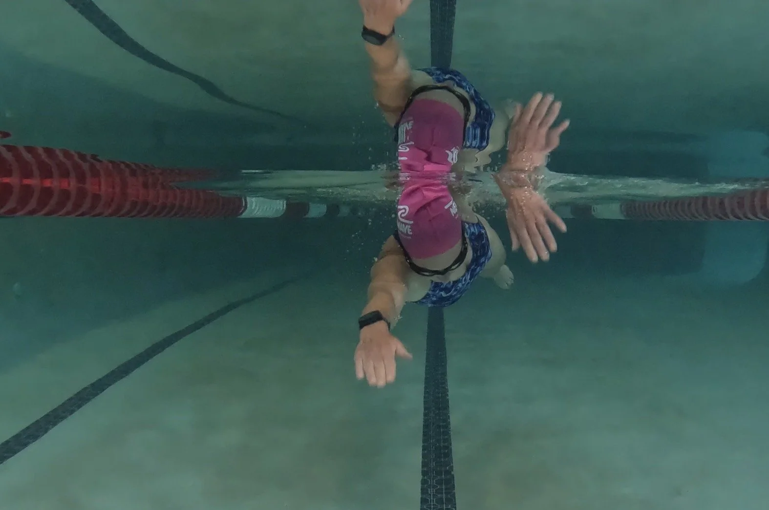Freestyle Swim Clinic