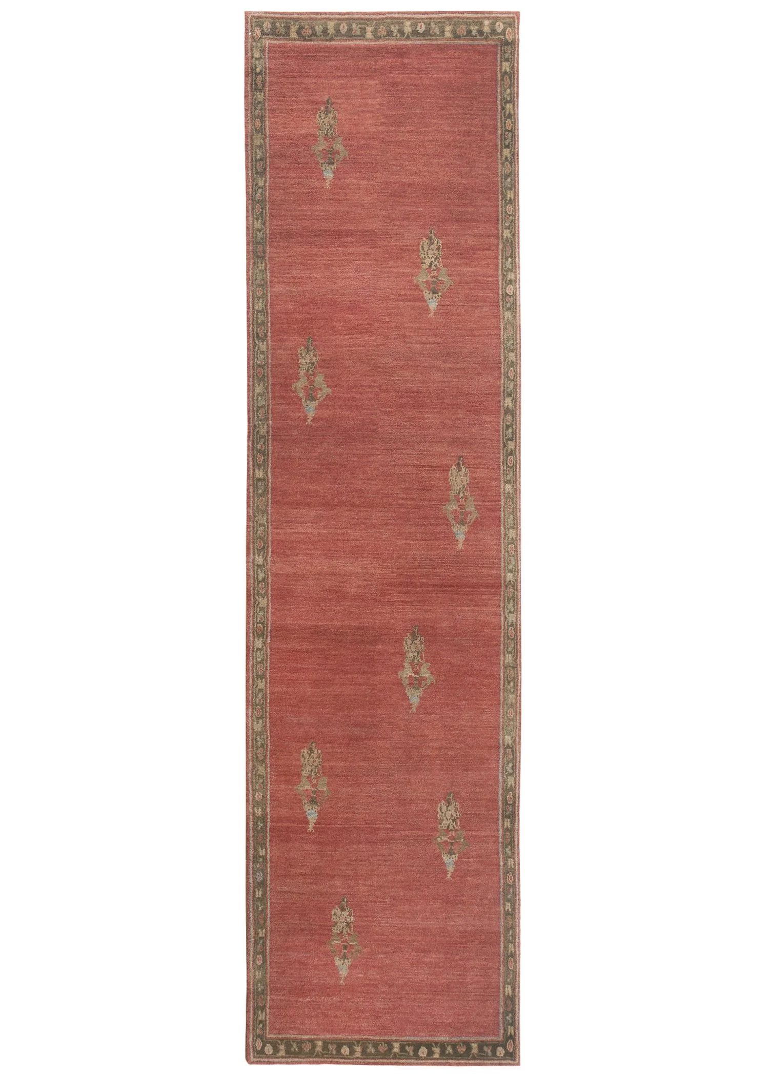 Taxila Sara (101985)