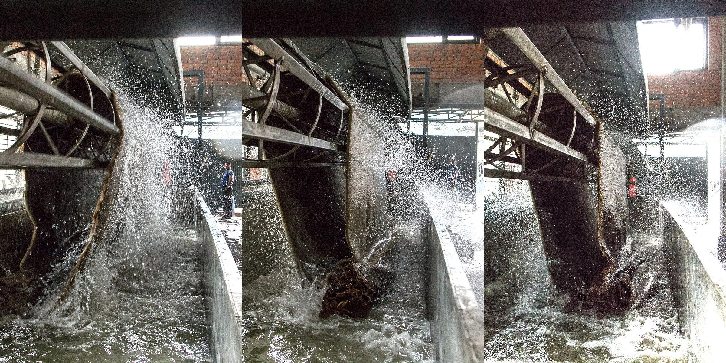 A handmade carpet being washed in Nepal.