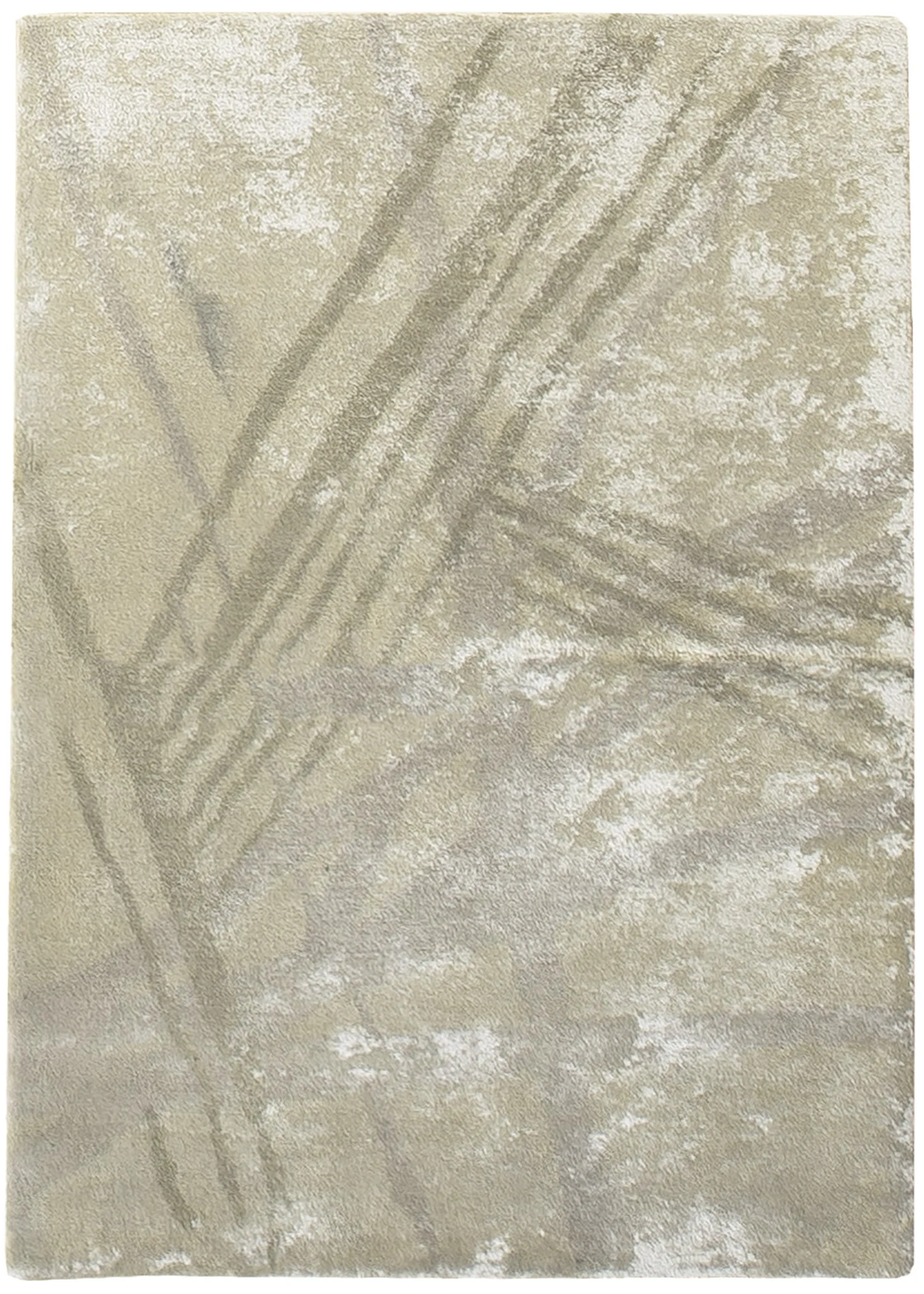 Shadows in the Sky (98309)