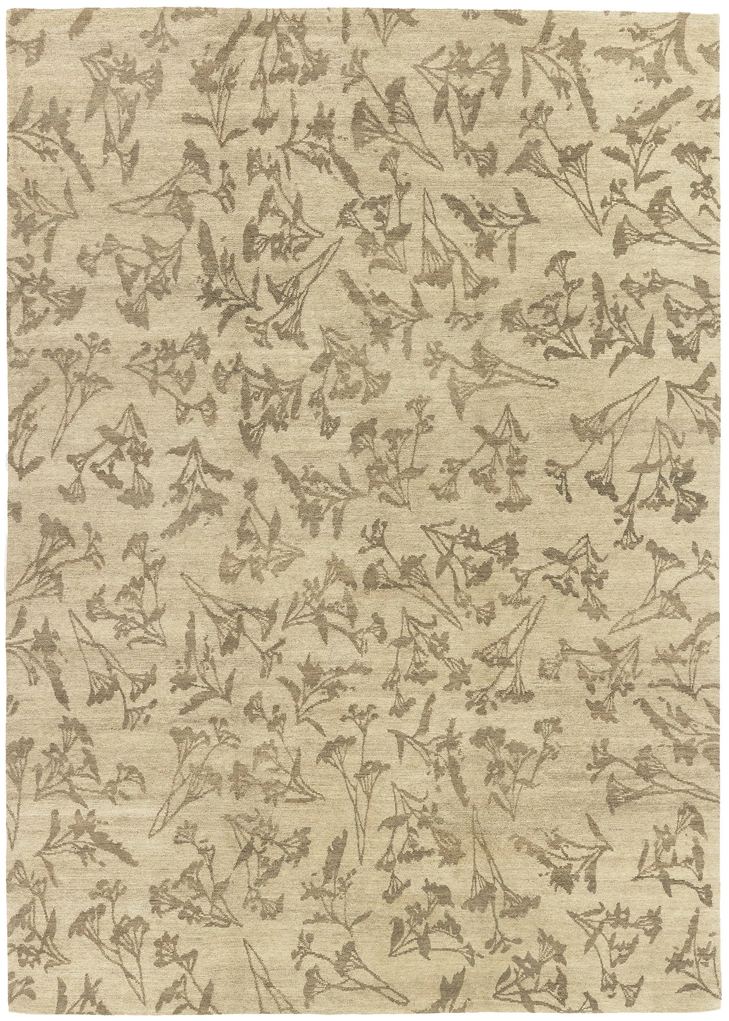 Valeriana III (93918)