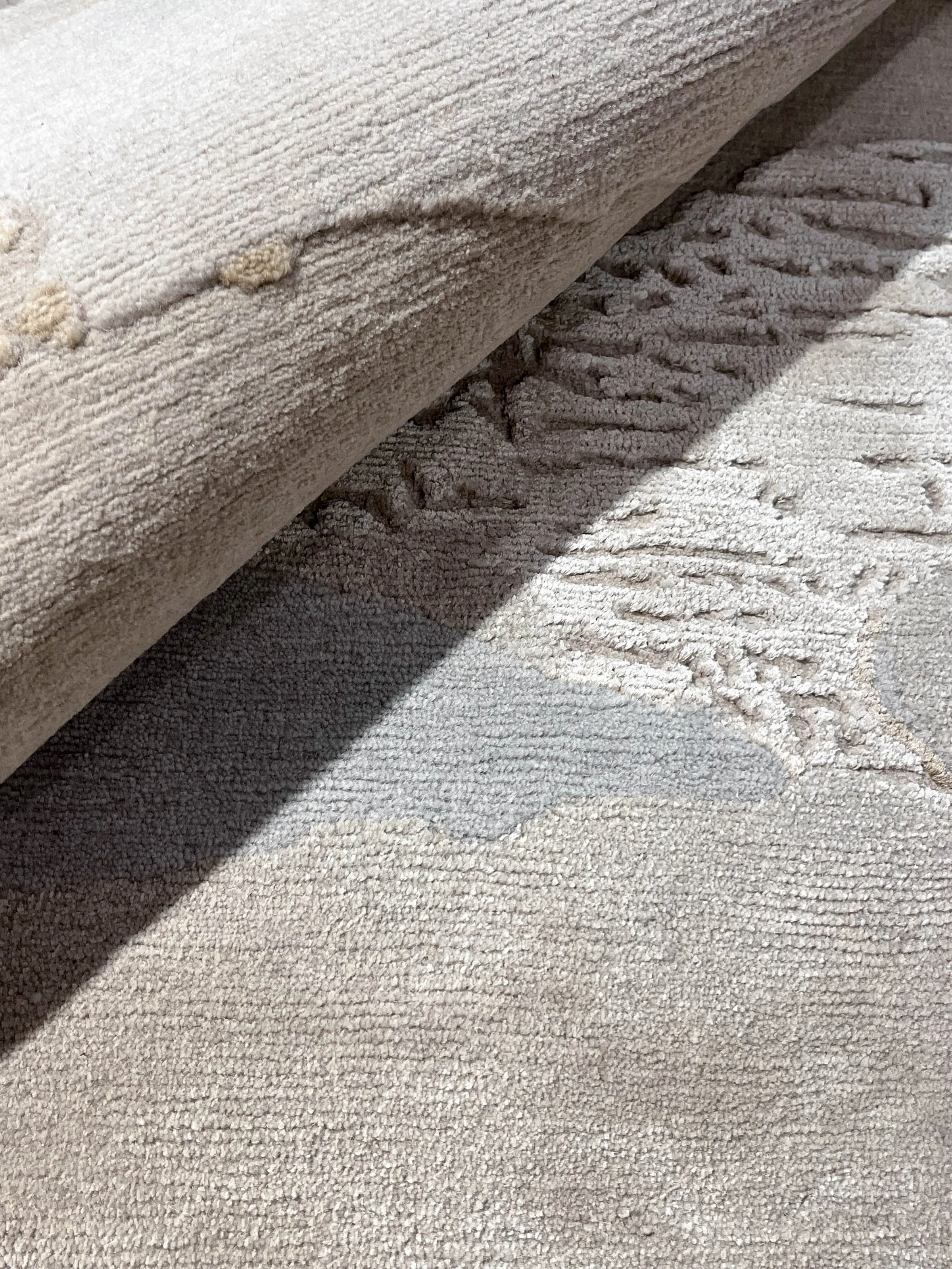Fragments in bright fossil_detail 2.jpg
