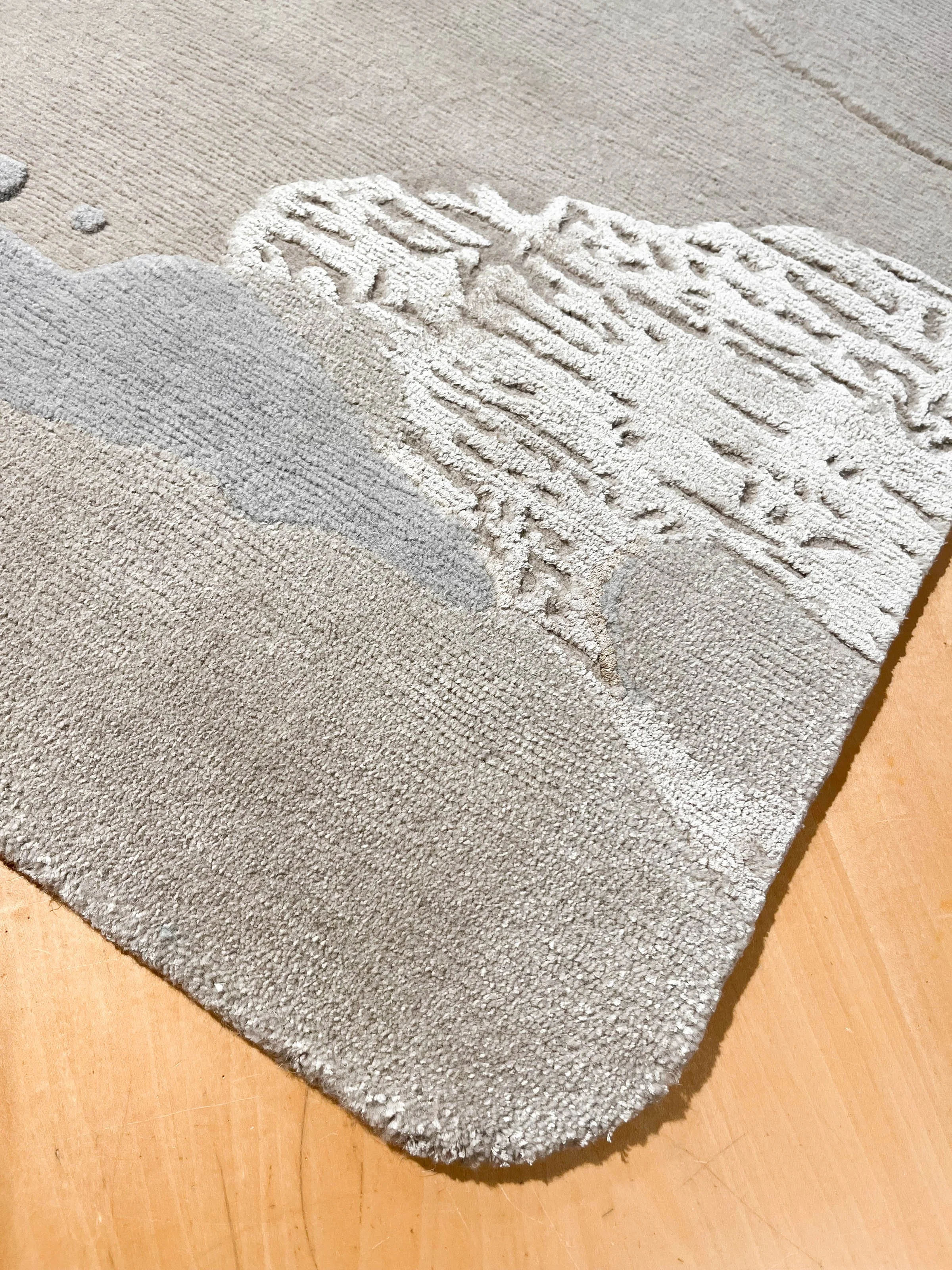 Fragments in bright fossil_detail.jpg