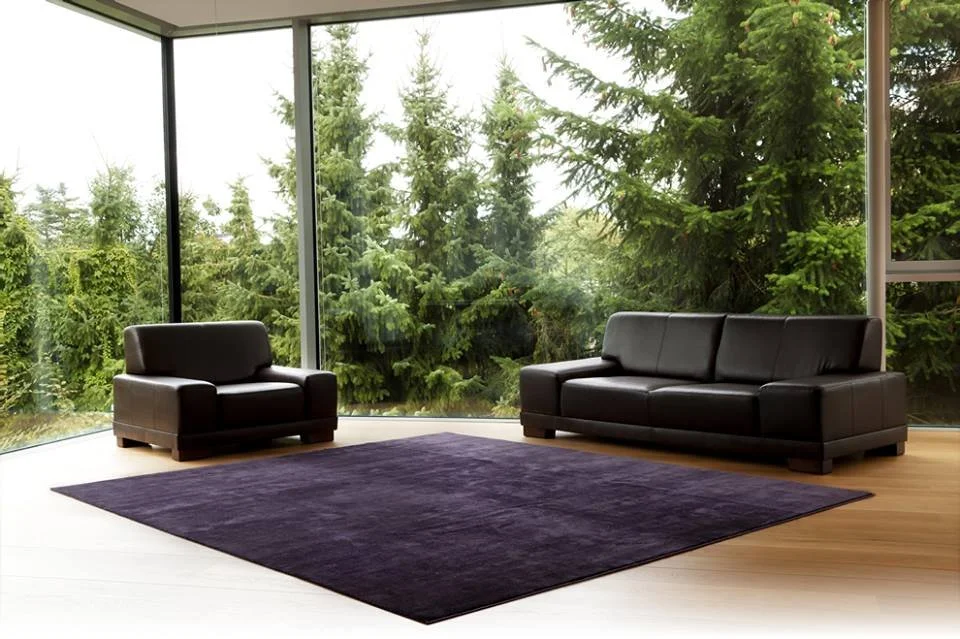 Modern living room with black leather sofa, matching armchair, purple rug, and large floor-to-ceiling windows showing green trees outside.
