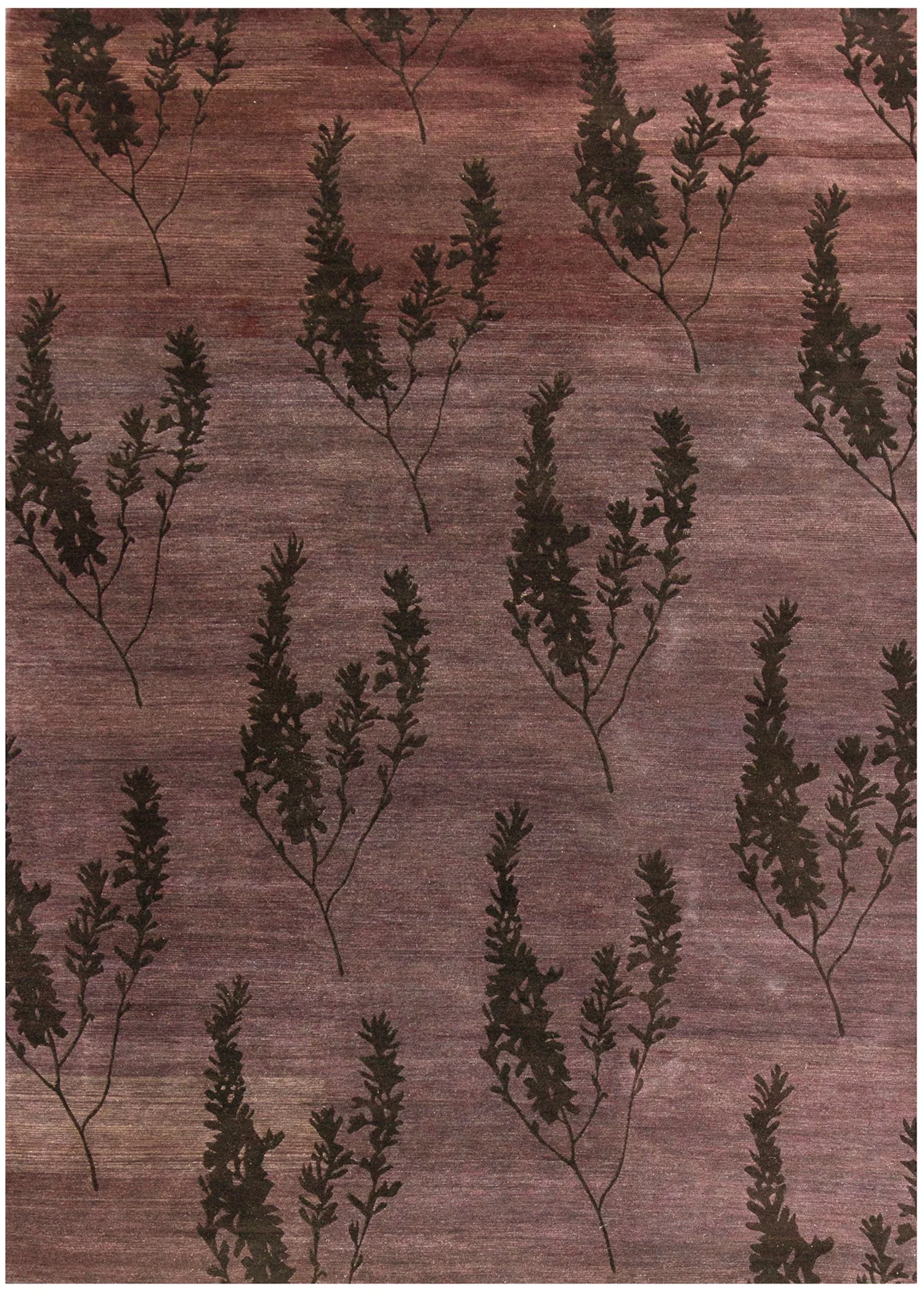 Paronychia II (86868)