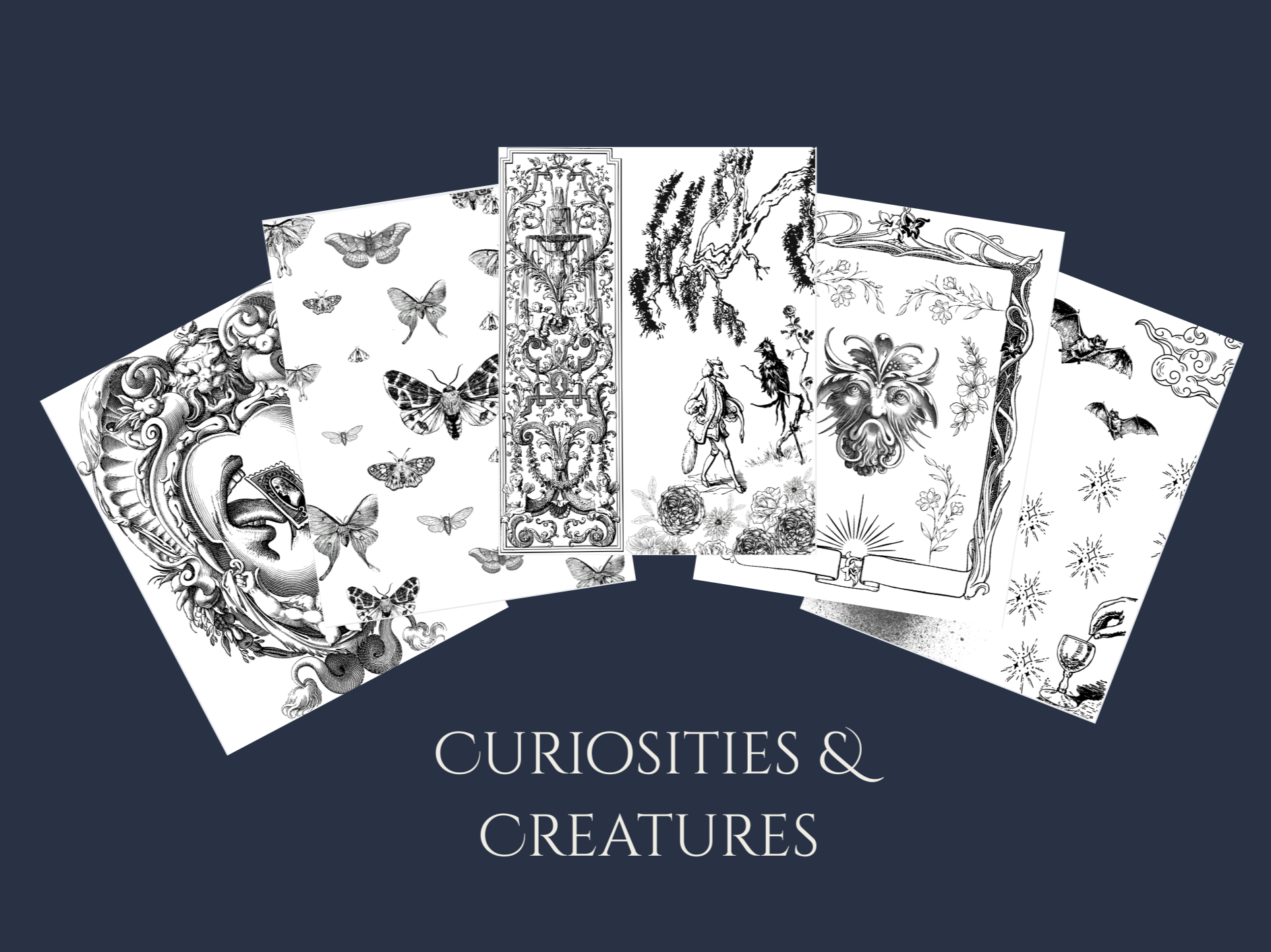 Curiosities+%26+Creatures+.png