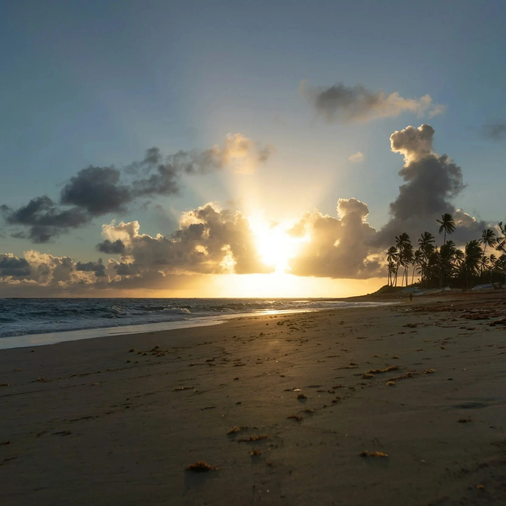 Hurricane Melissa Impact