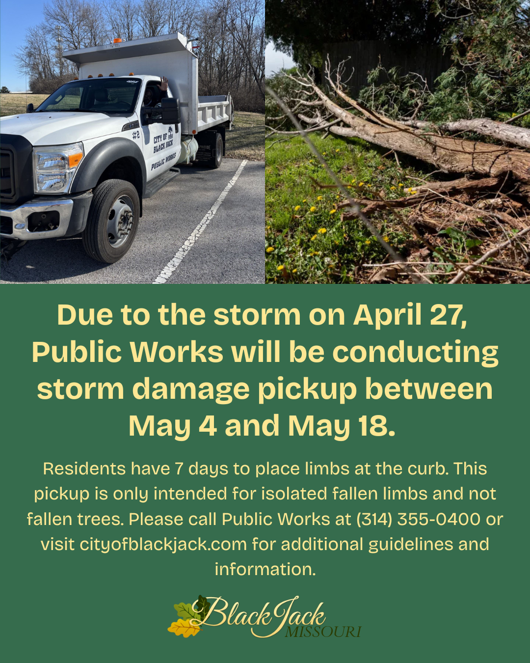 Storm Damage Pickup.png