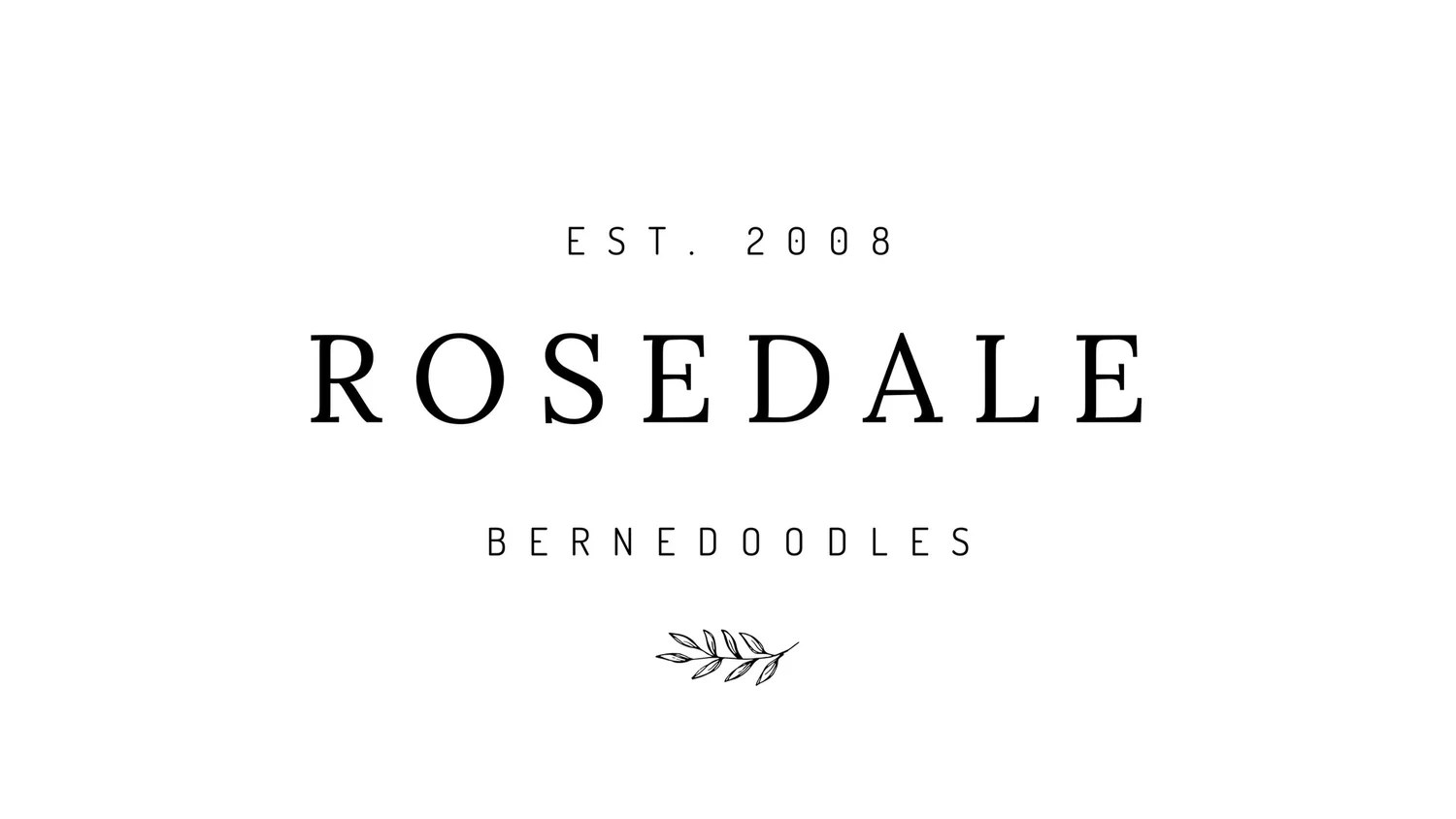 Rosedale Bernedoodles | Tri-Color Bernedoodle Puppies in British Columbia