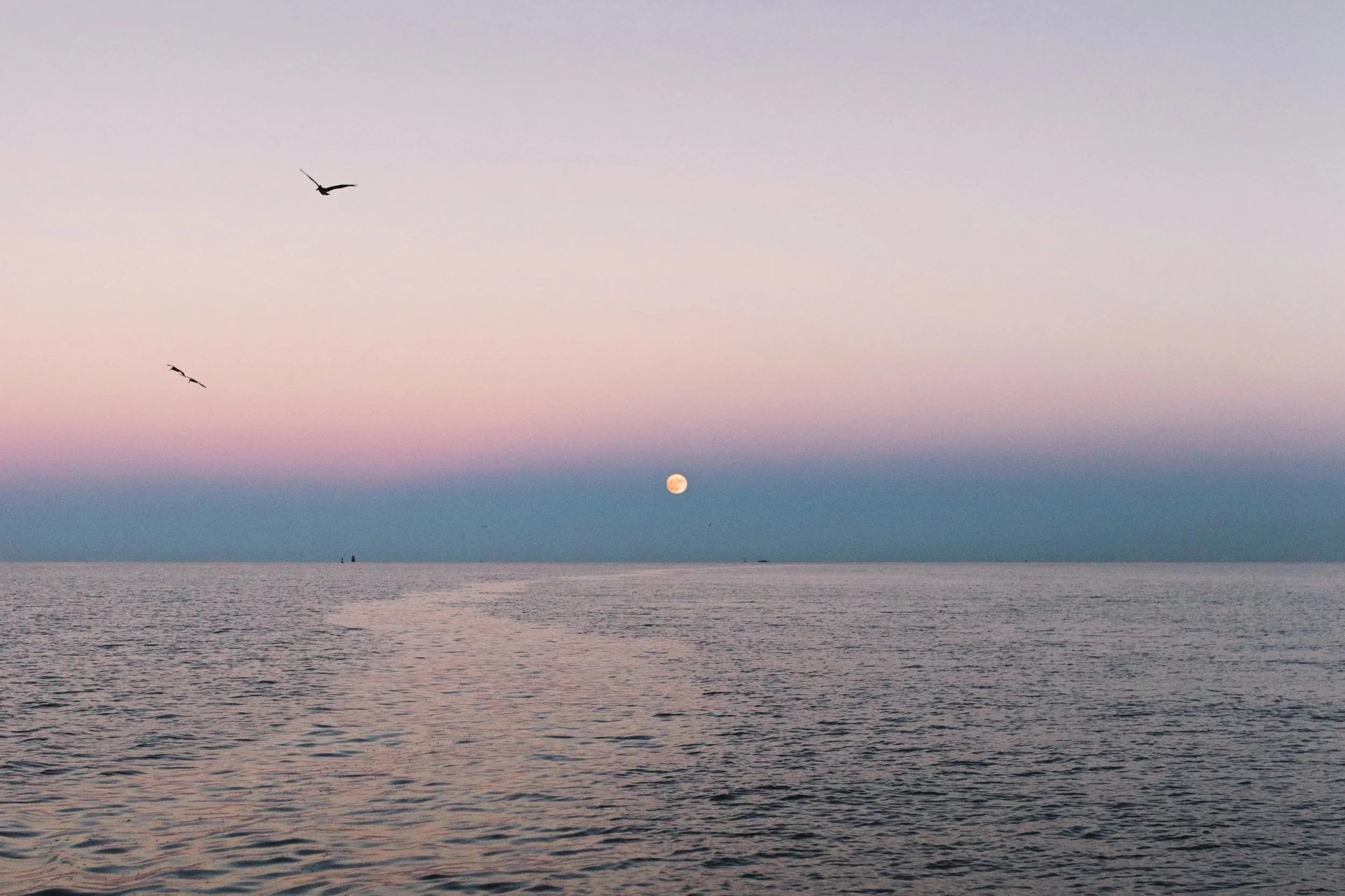 Trust Is the New Conversion Lever in AI-Driven Travel Discovery