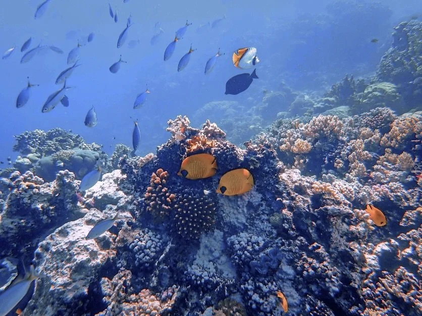 Experiential Travel 2025: Immersive Marketing That Converts