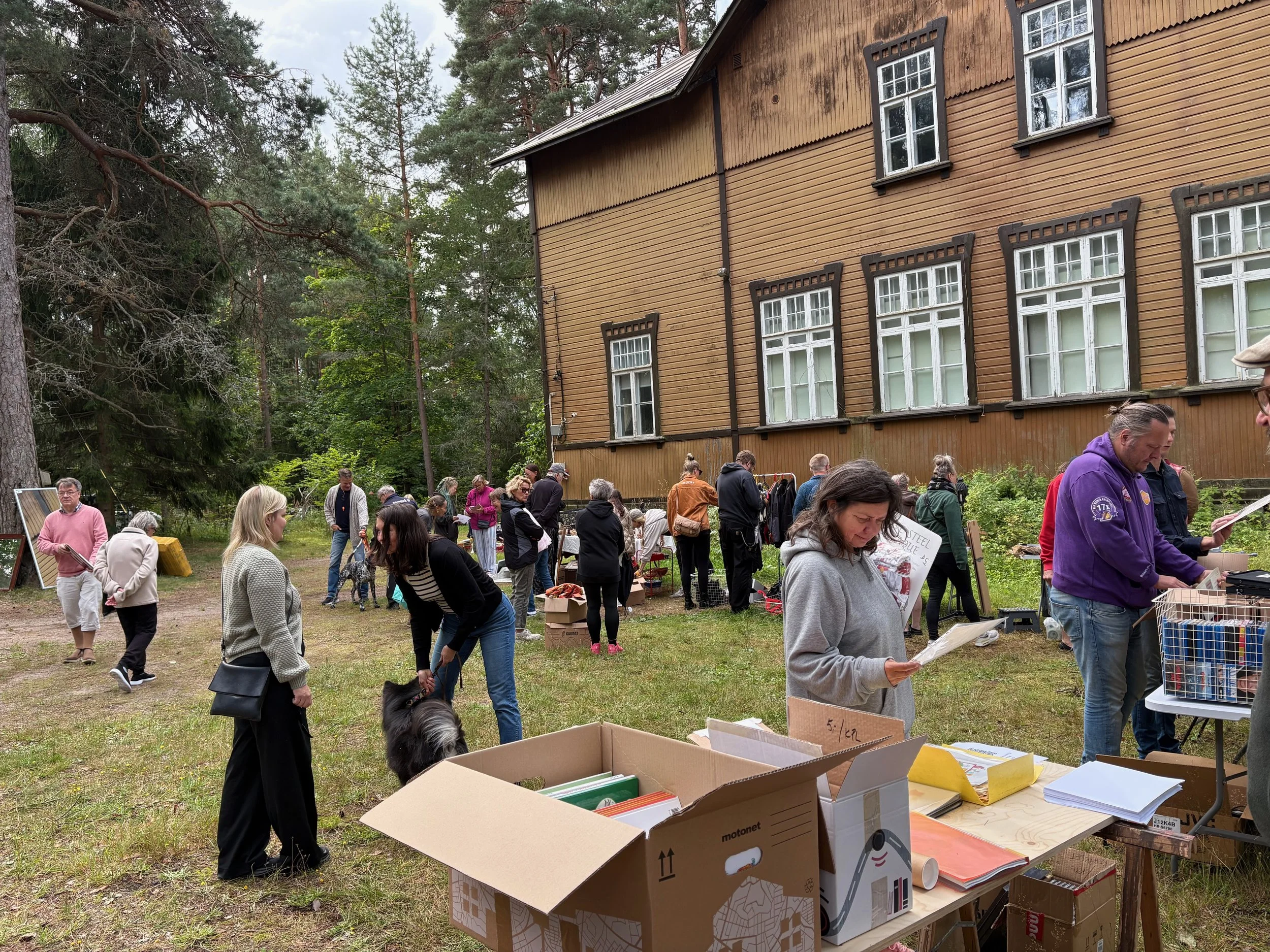 Kesähommia ja pihakirppis