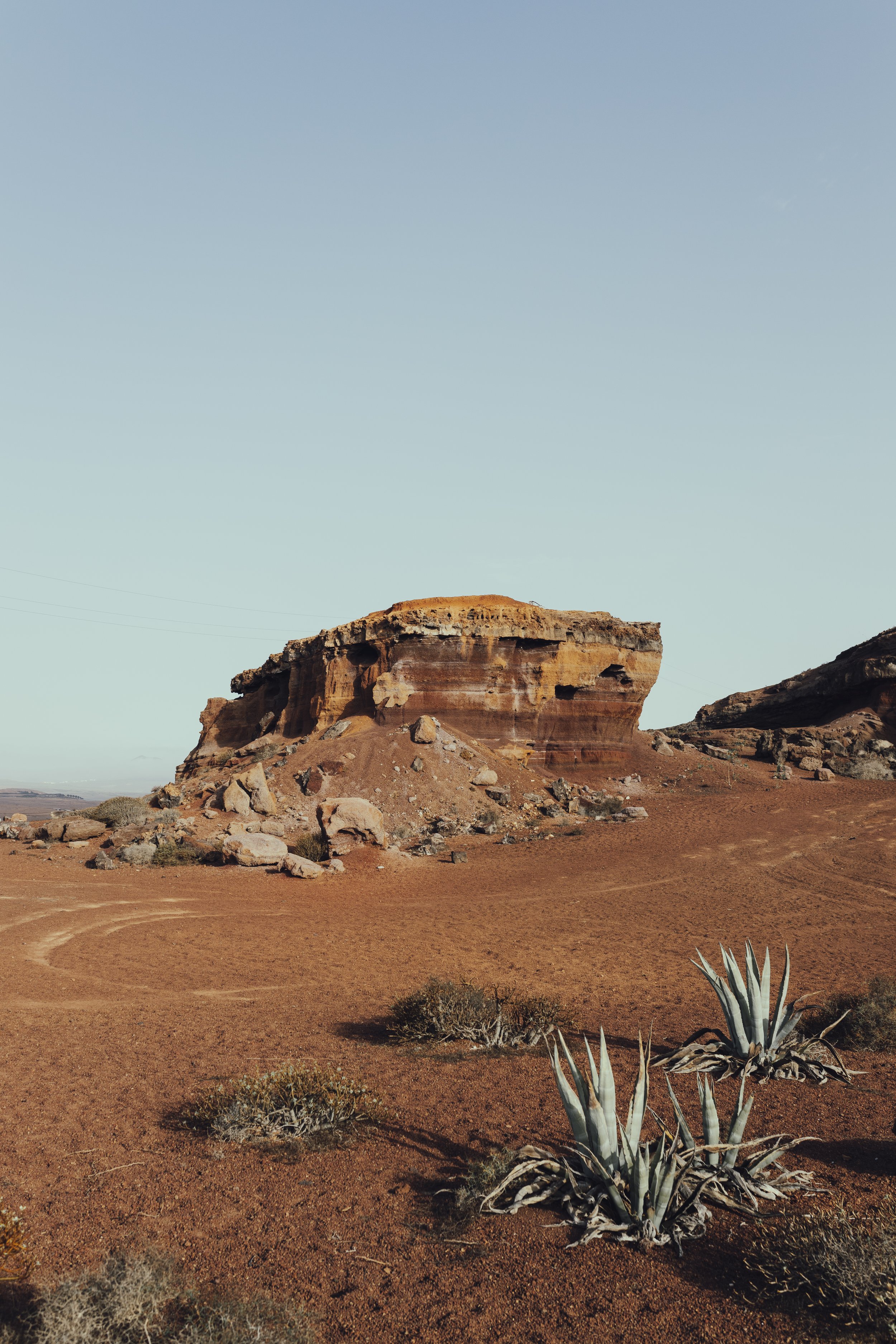 Paesaggio desertico con roccia grande e piante grasse, cielo chiaro e sereno.