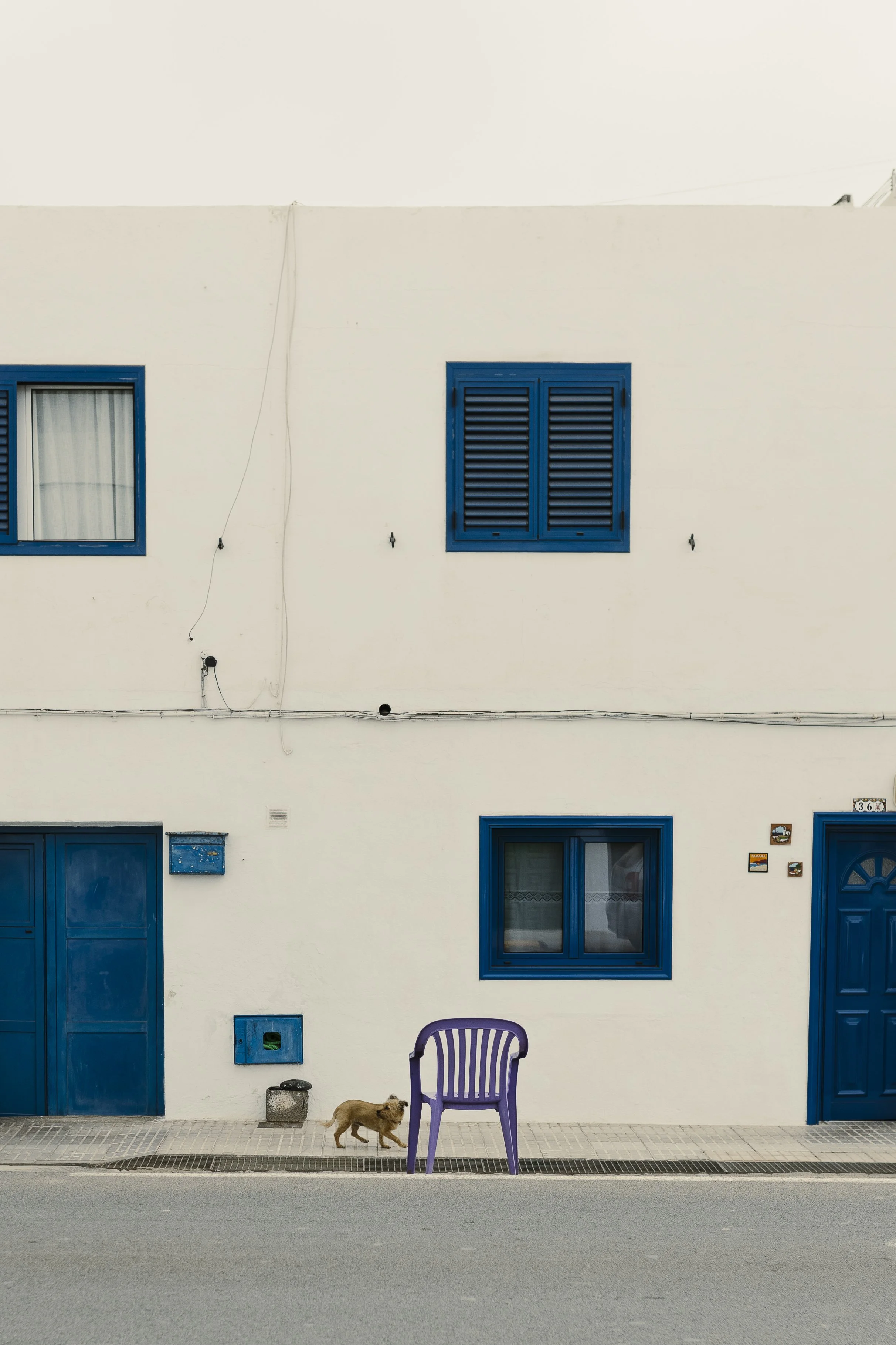 Edificio bianco con finestre e porte blu, cane marrone sulla strada e sedia viola sulla pavimentazione