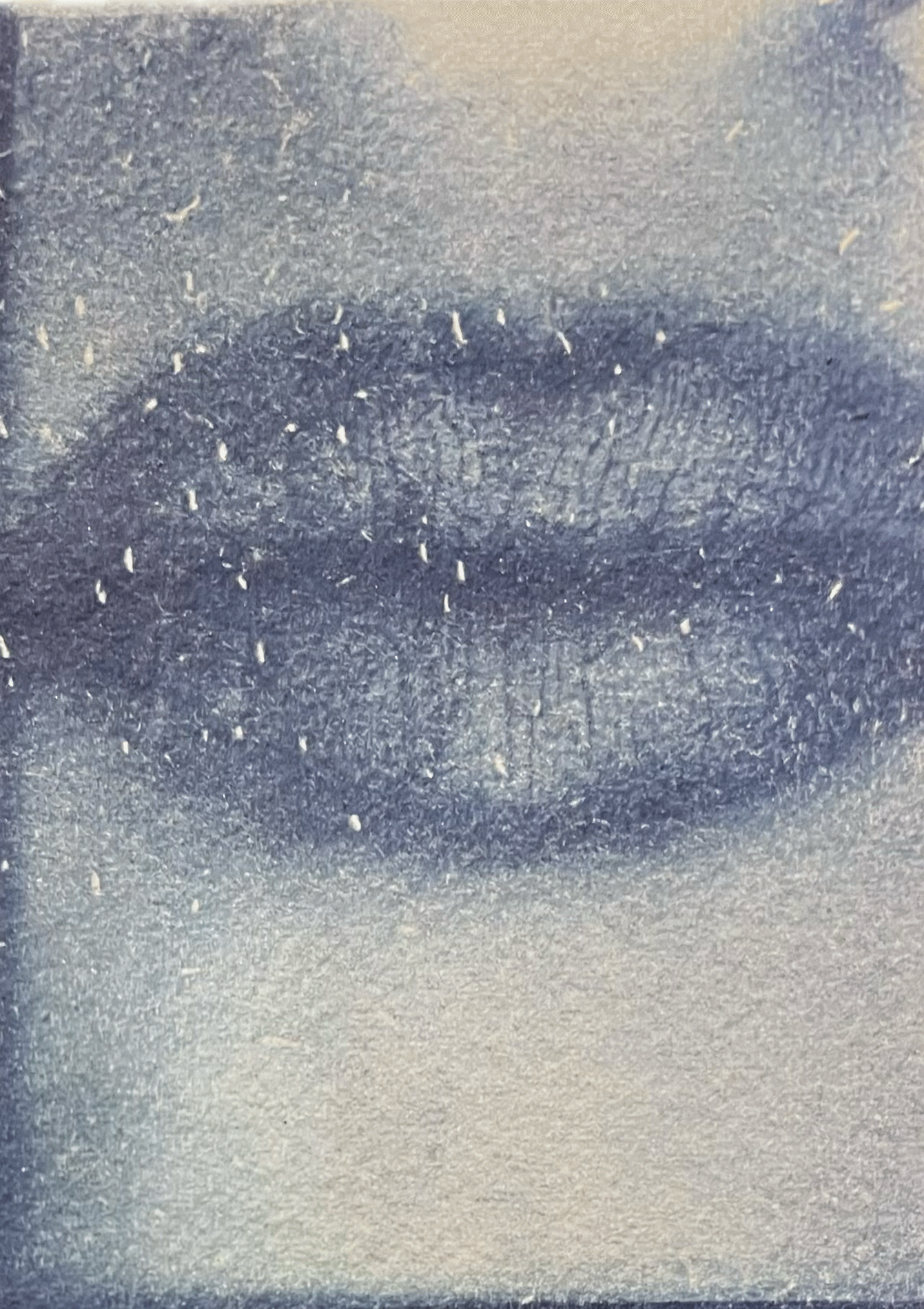 naj-cyanotype-print.GIF