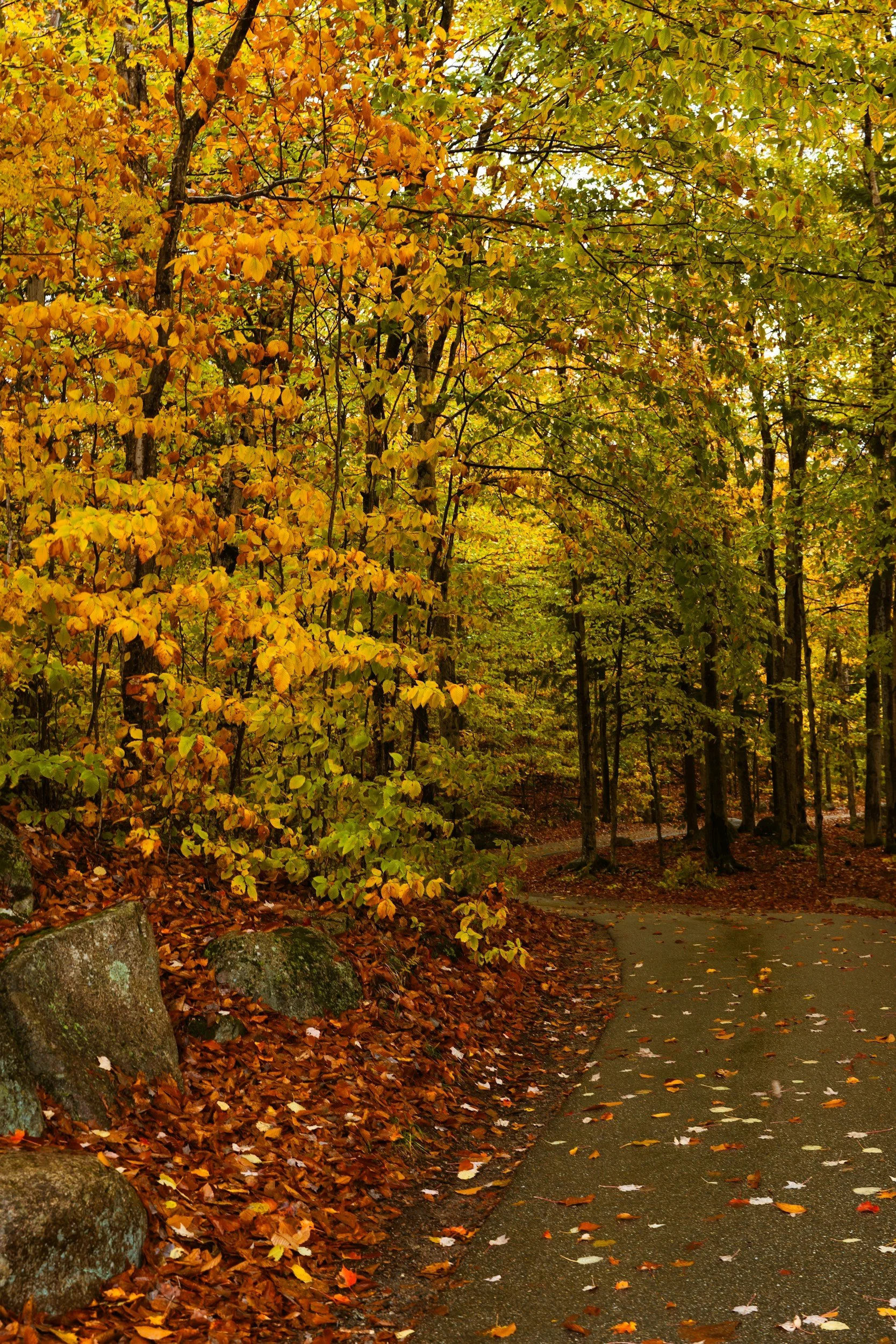 September Outdoor Gathering
