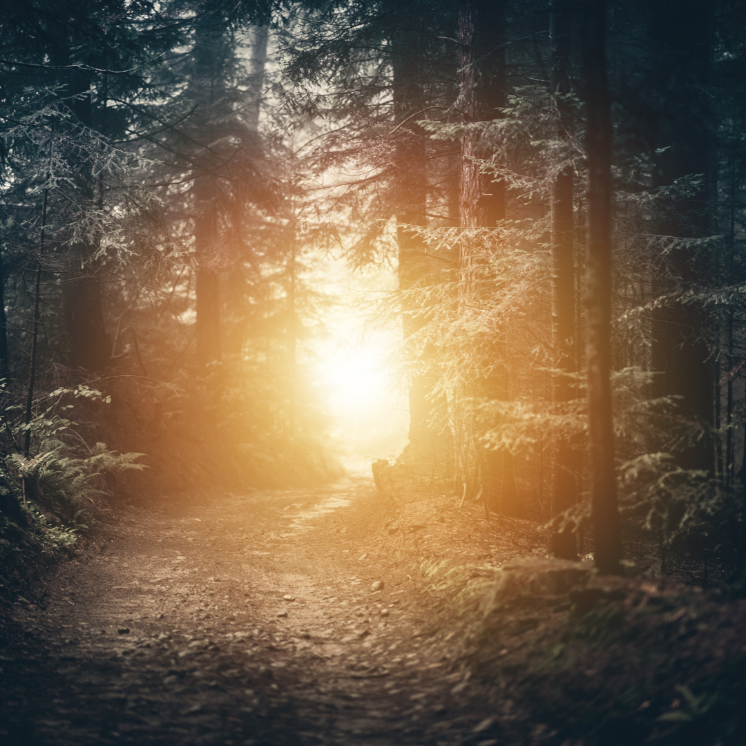 February Nature Gathering